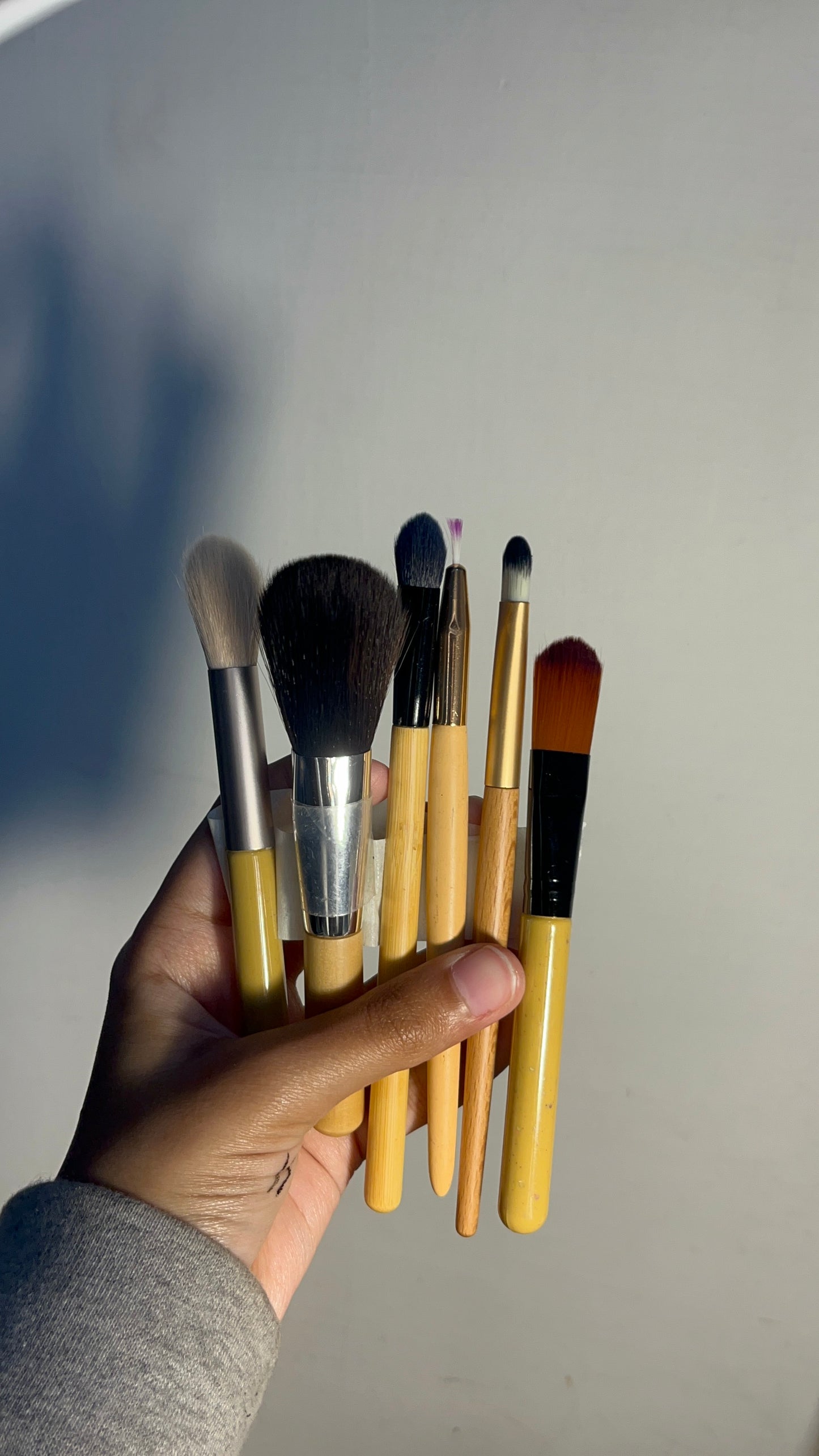 Set of 6 Brushes