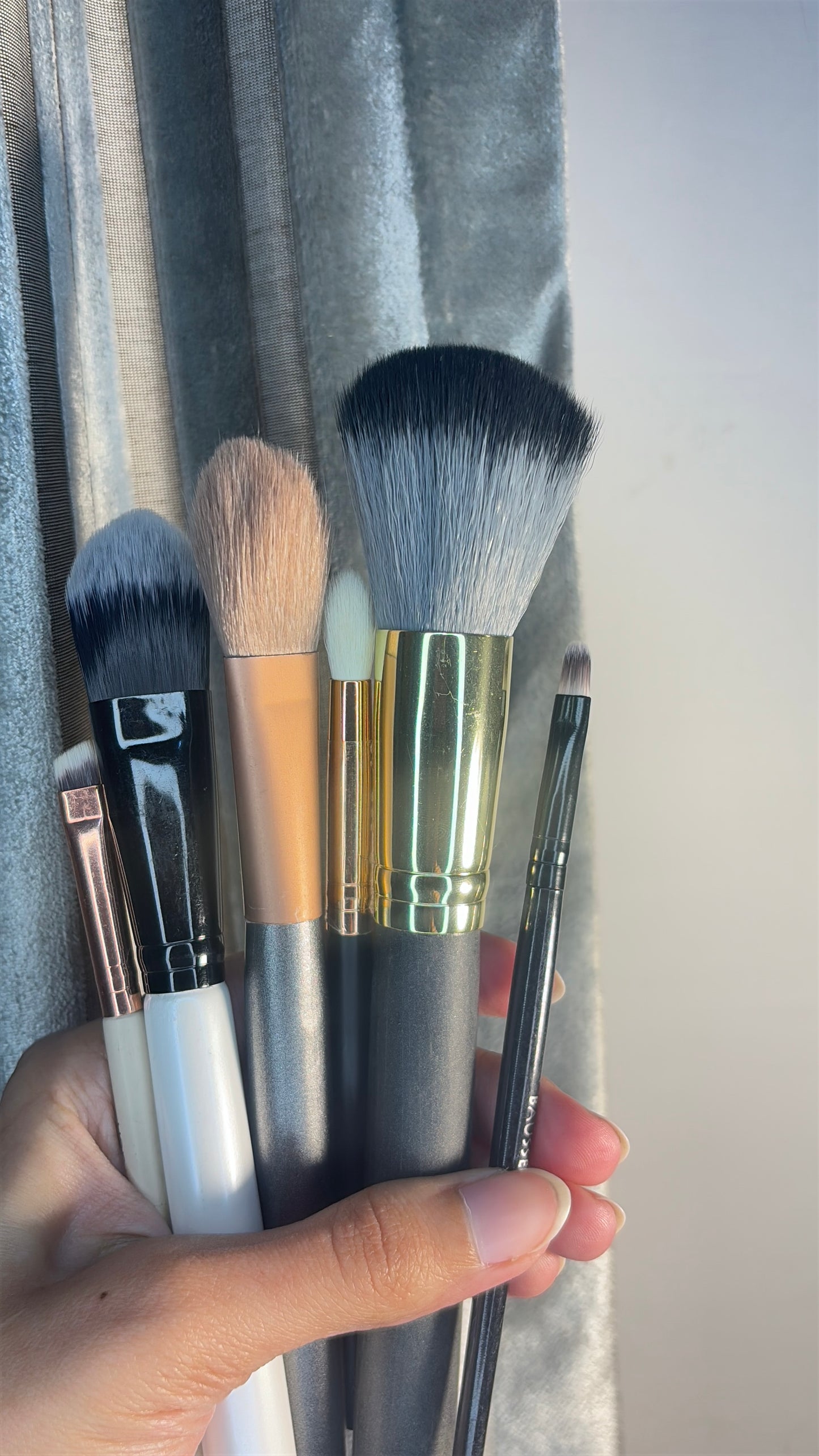 Set of 6 Brushes