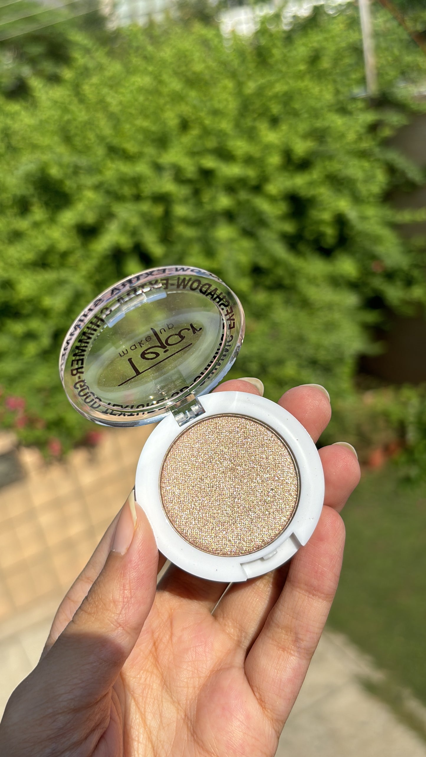 Single Eyeshadow and Highlighter