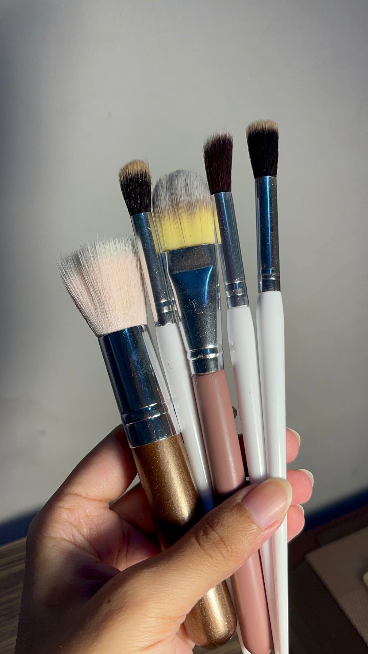 Set of 5 Brushes