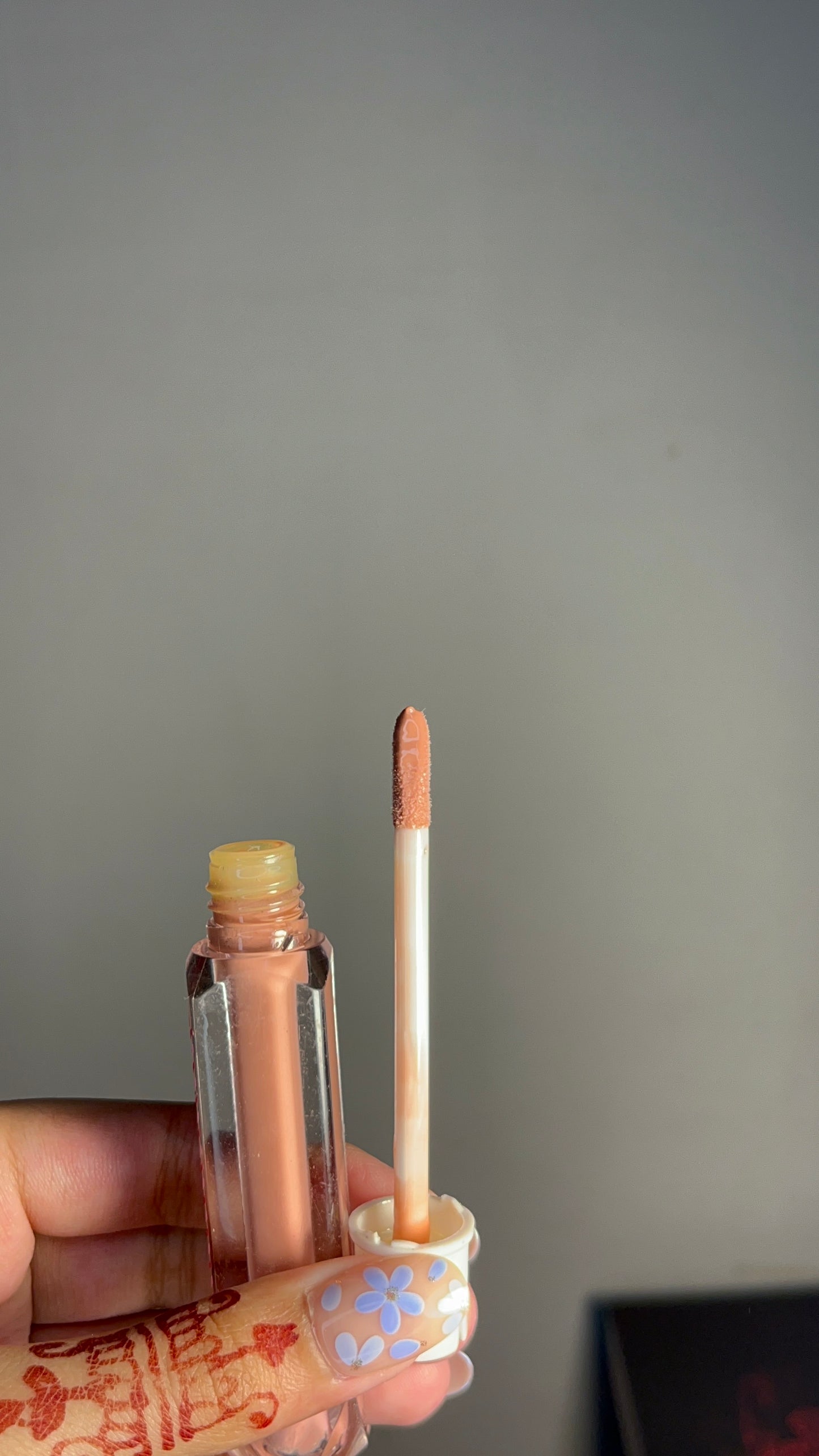 PLUMP EFFECT LipGloss