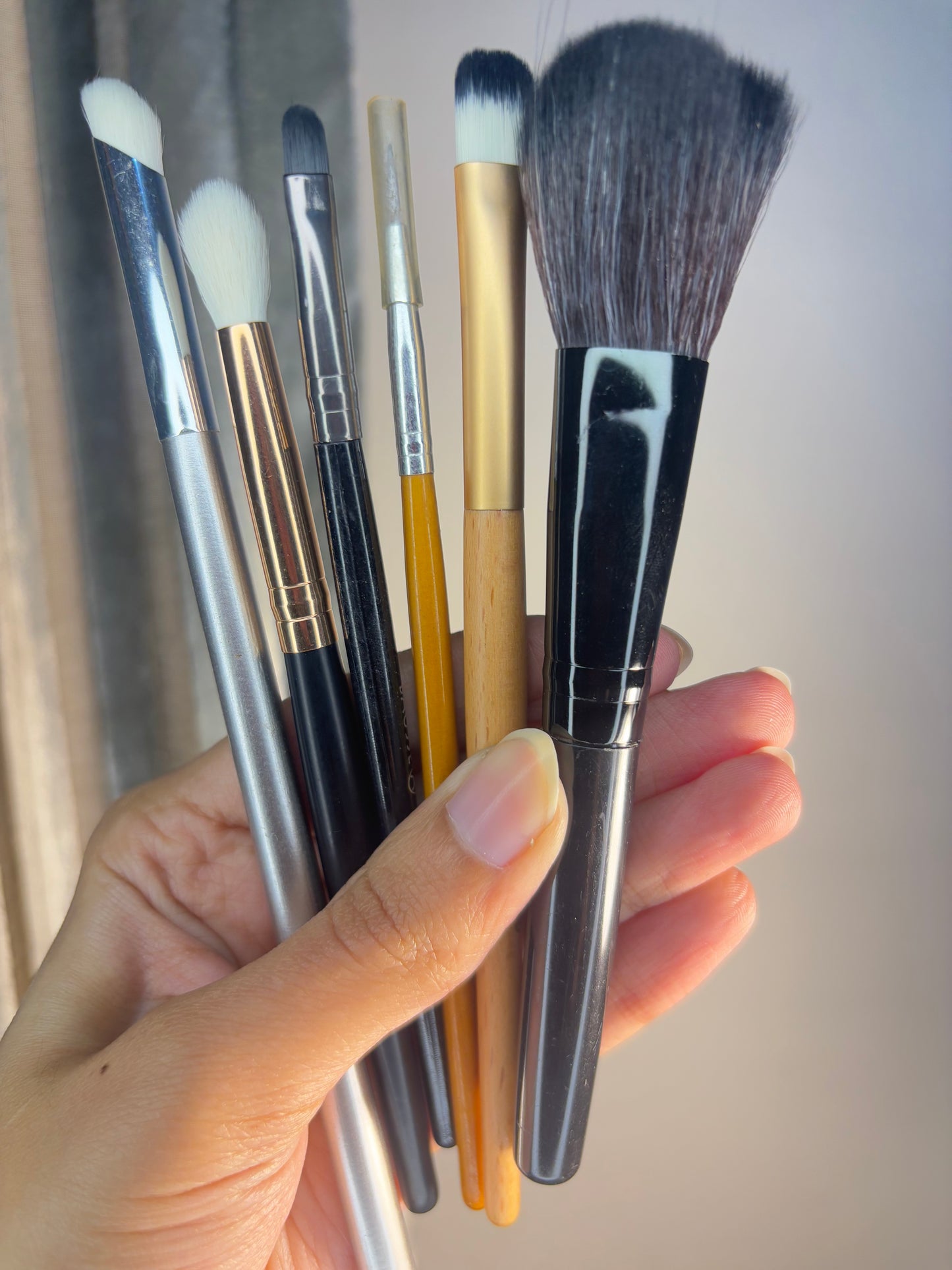 Set of 6 Brushes