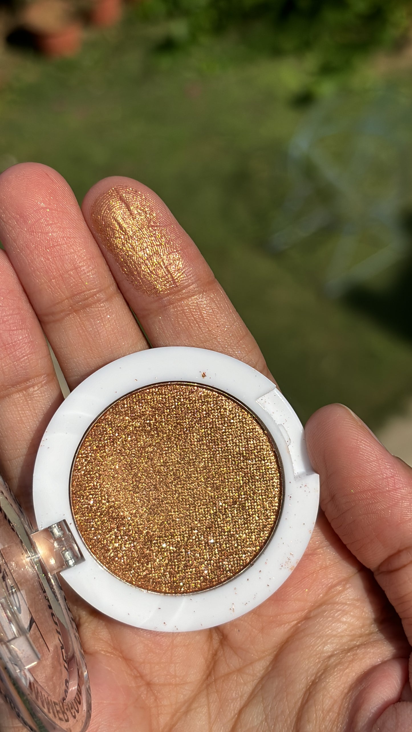Single Eyeshadow and Highlighter