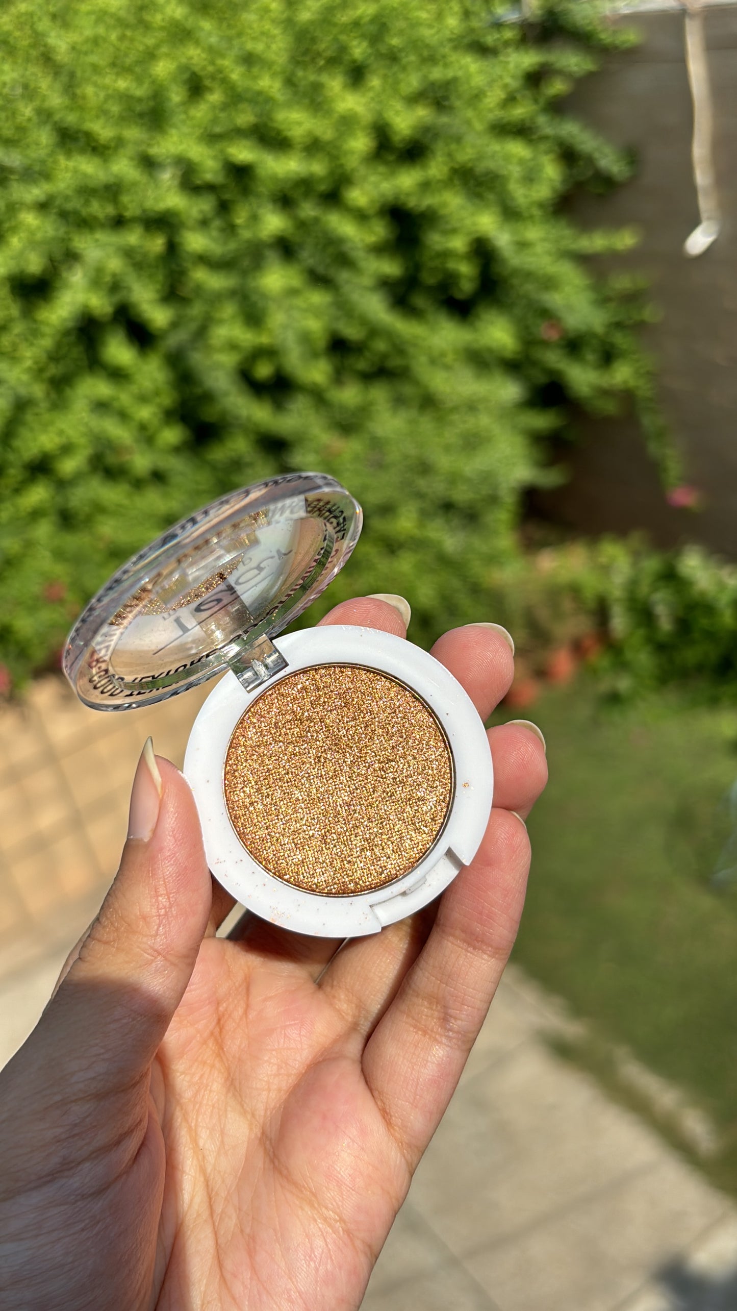 Single Eyeshadow and Highlighter