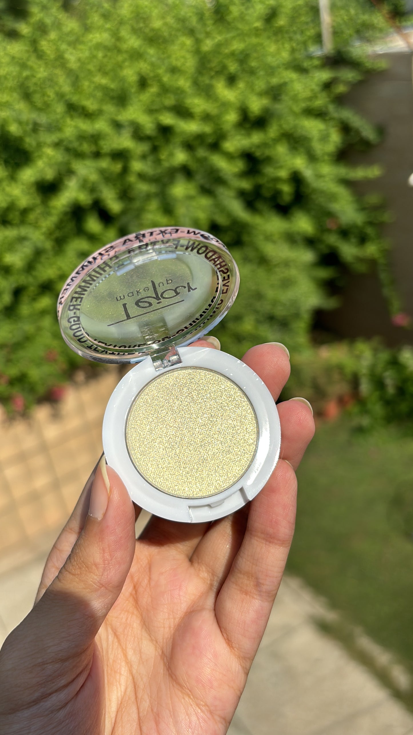 Single Eyeshadow and Highlighter