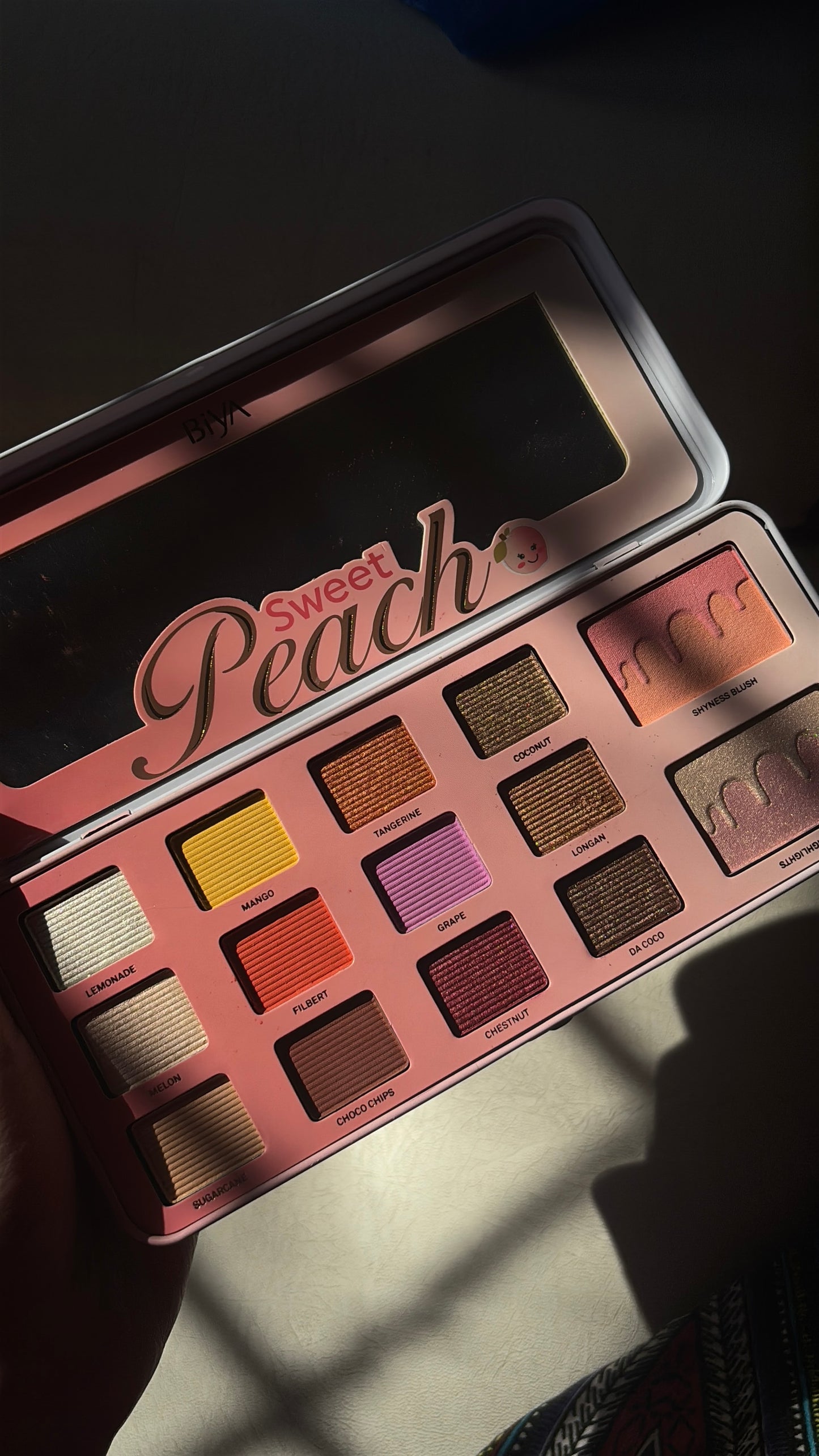 Peach Eyeshadow,Blush and Highlighter palette