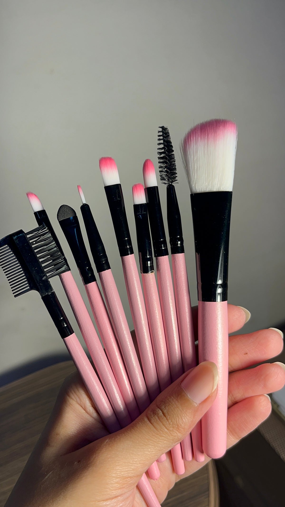 Set of 10 Brushes