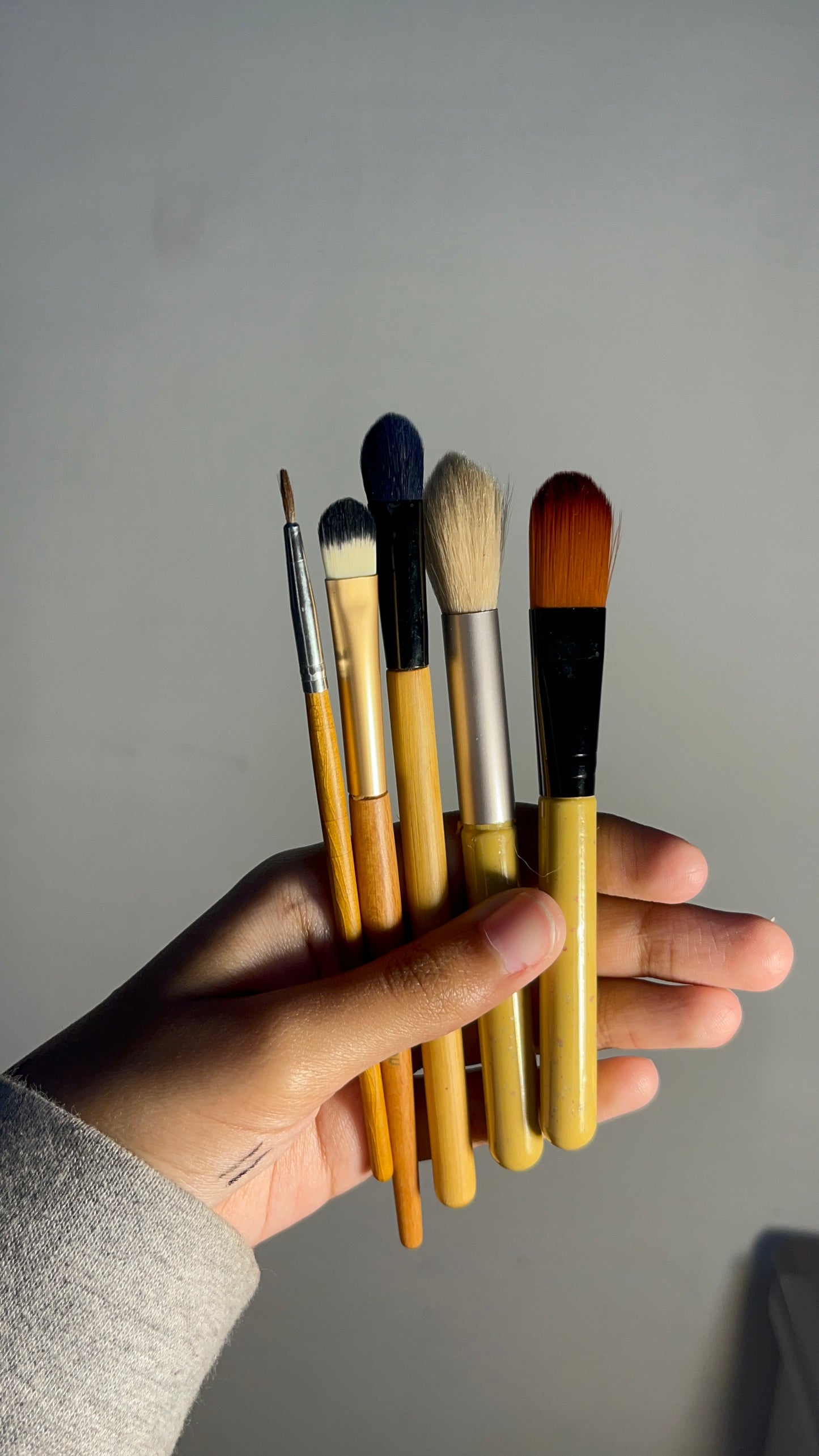 Set of 5 Brushes