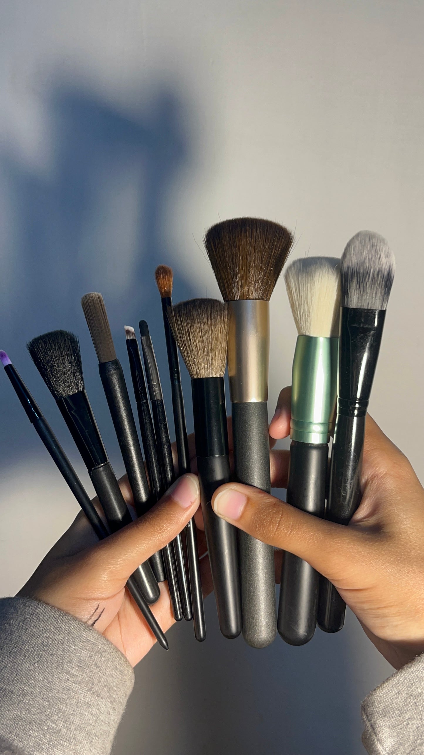 Set of 10 Brushes