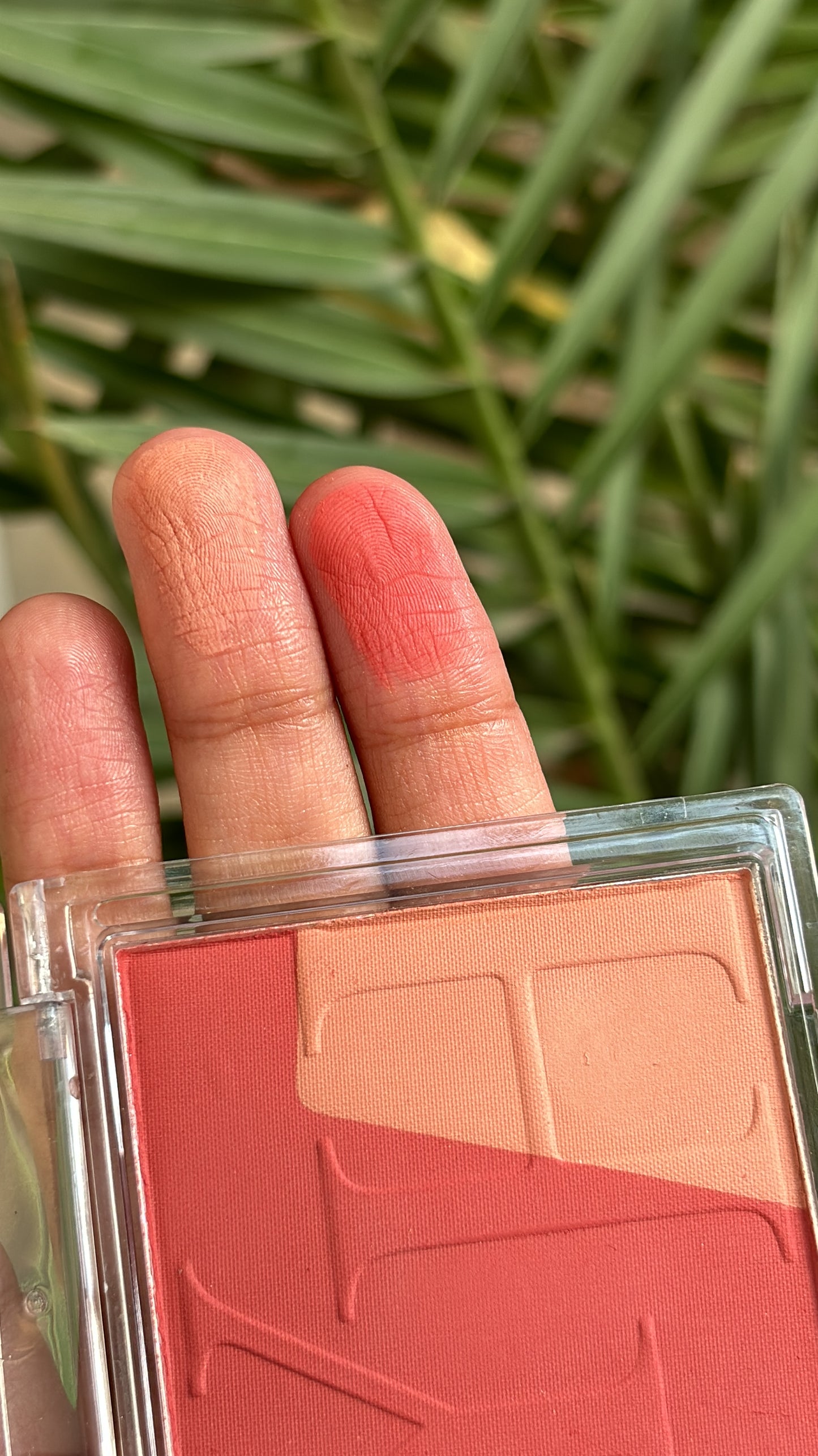 Blush Palette