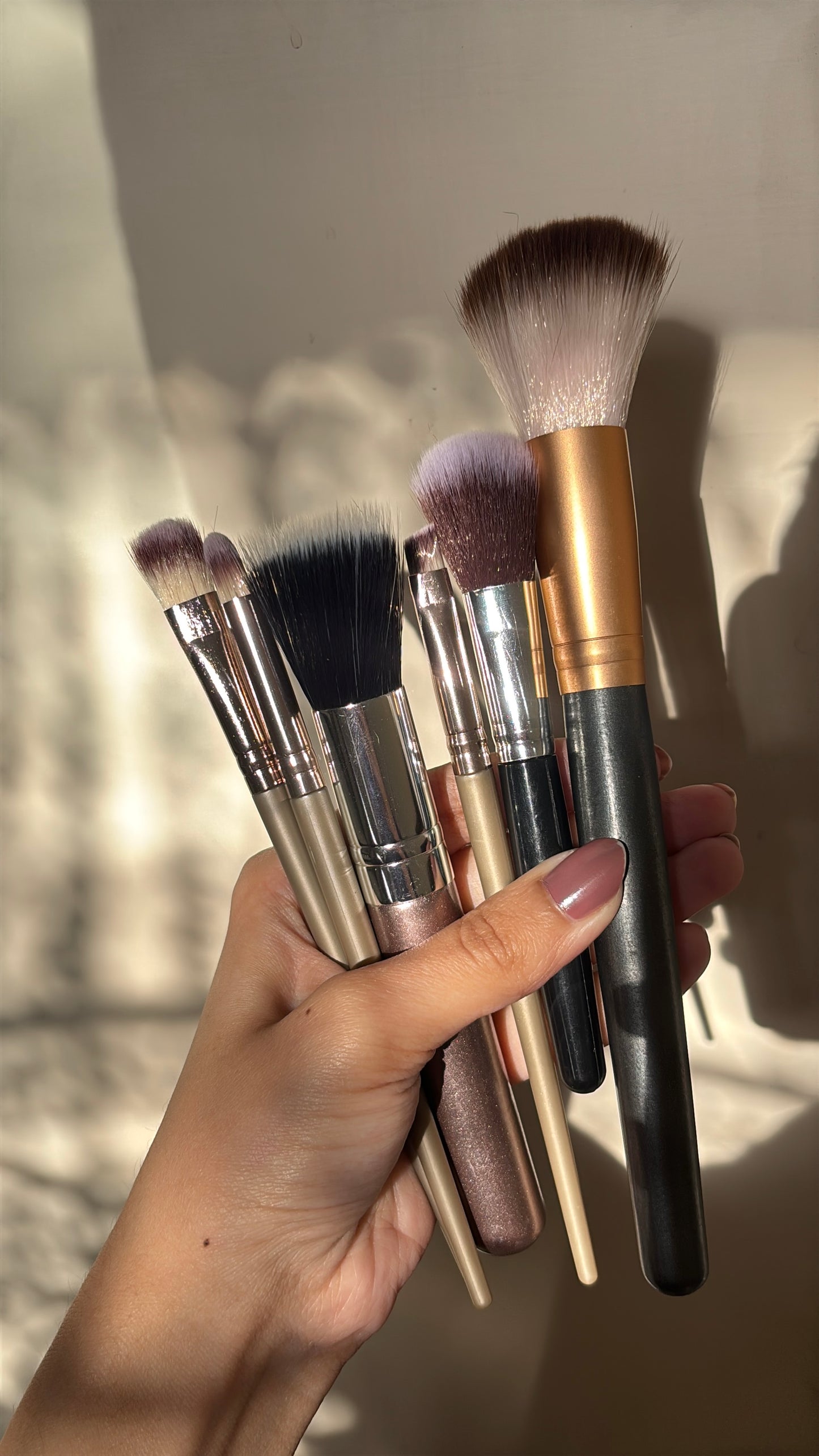 Set of 6 Brushes