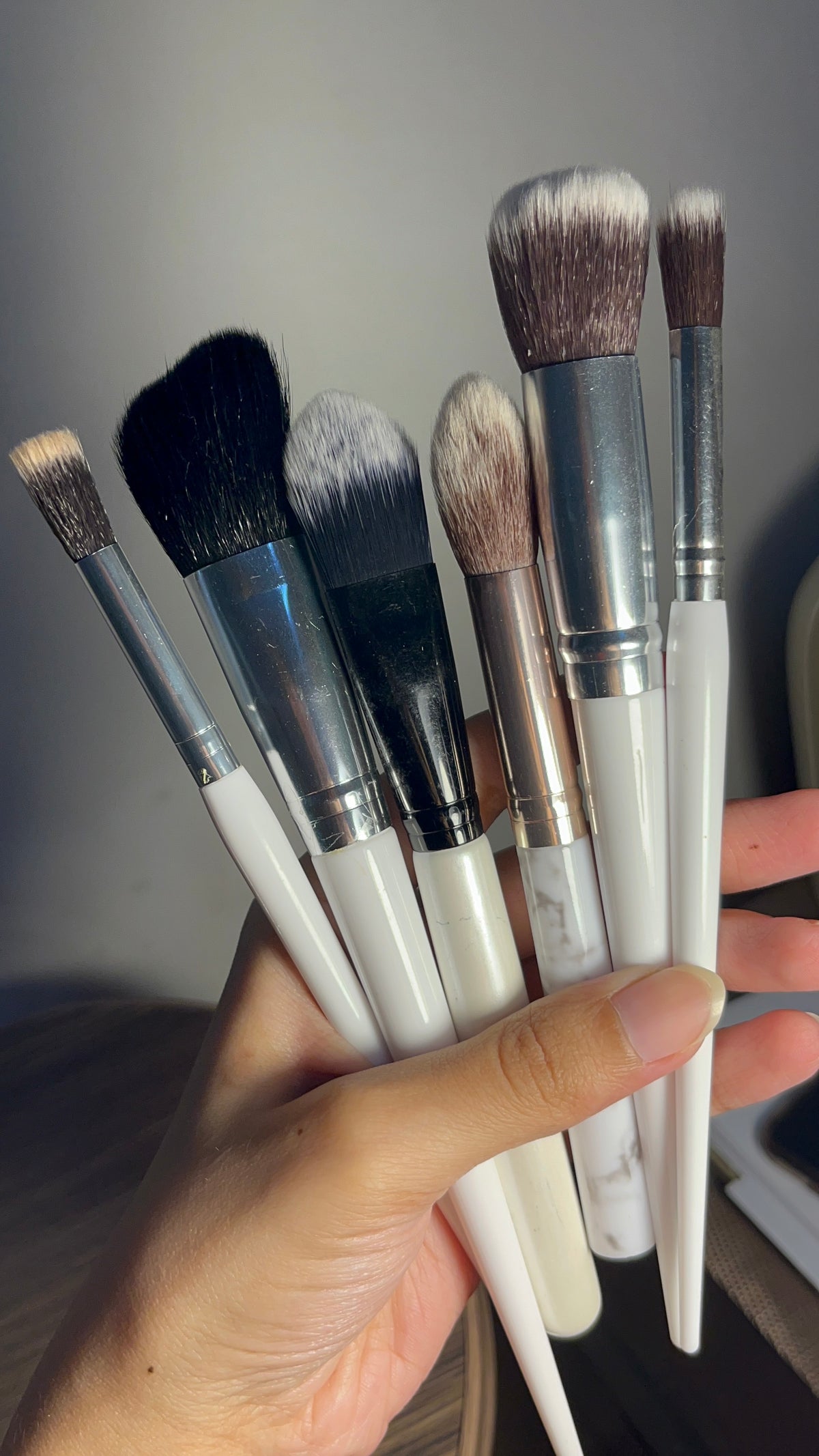Set of 6 Brushes