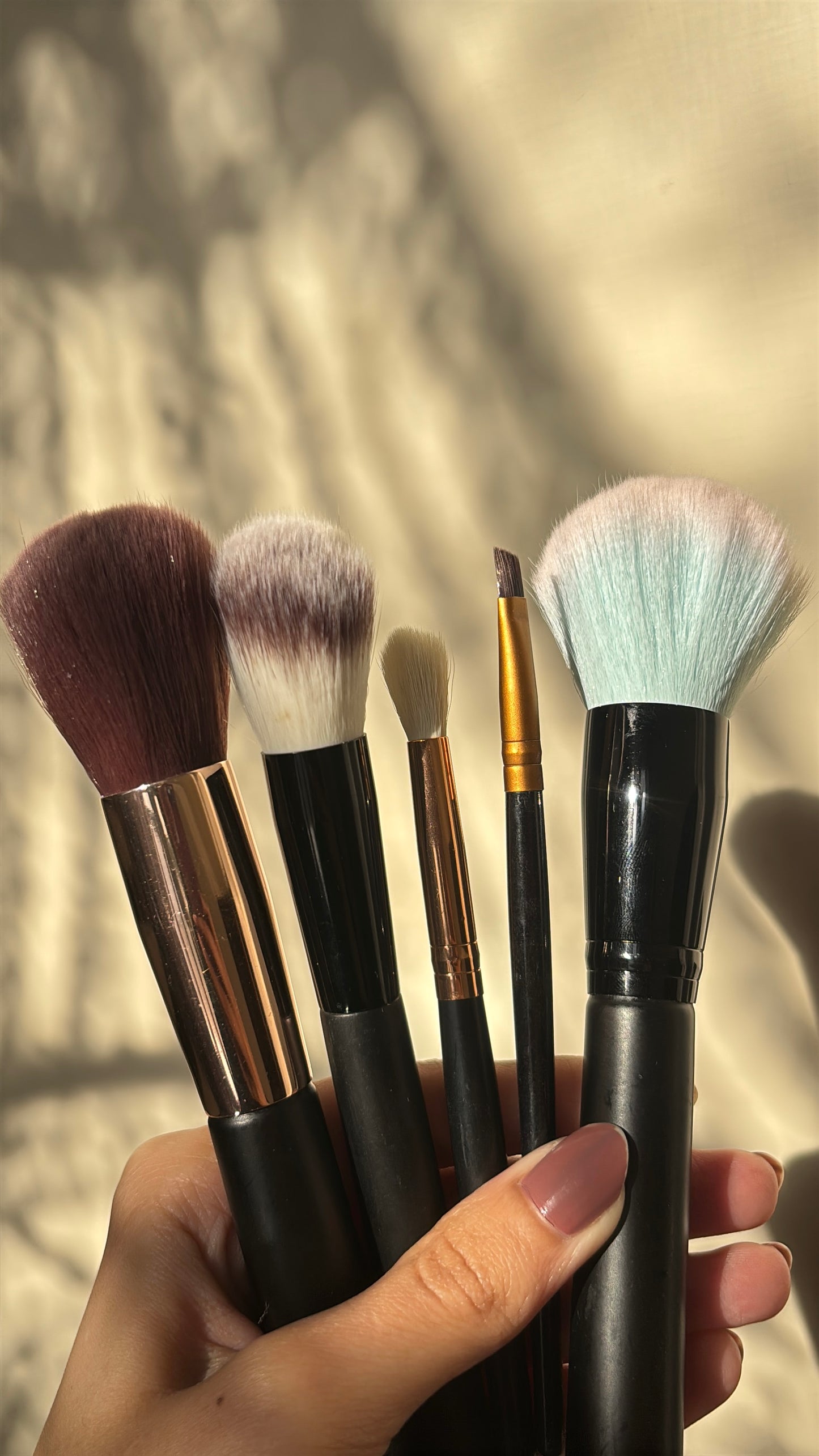 Set of 5 Brushes