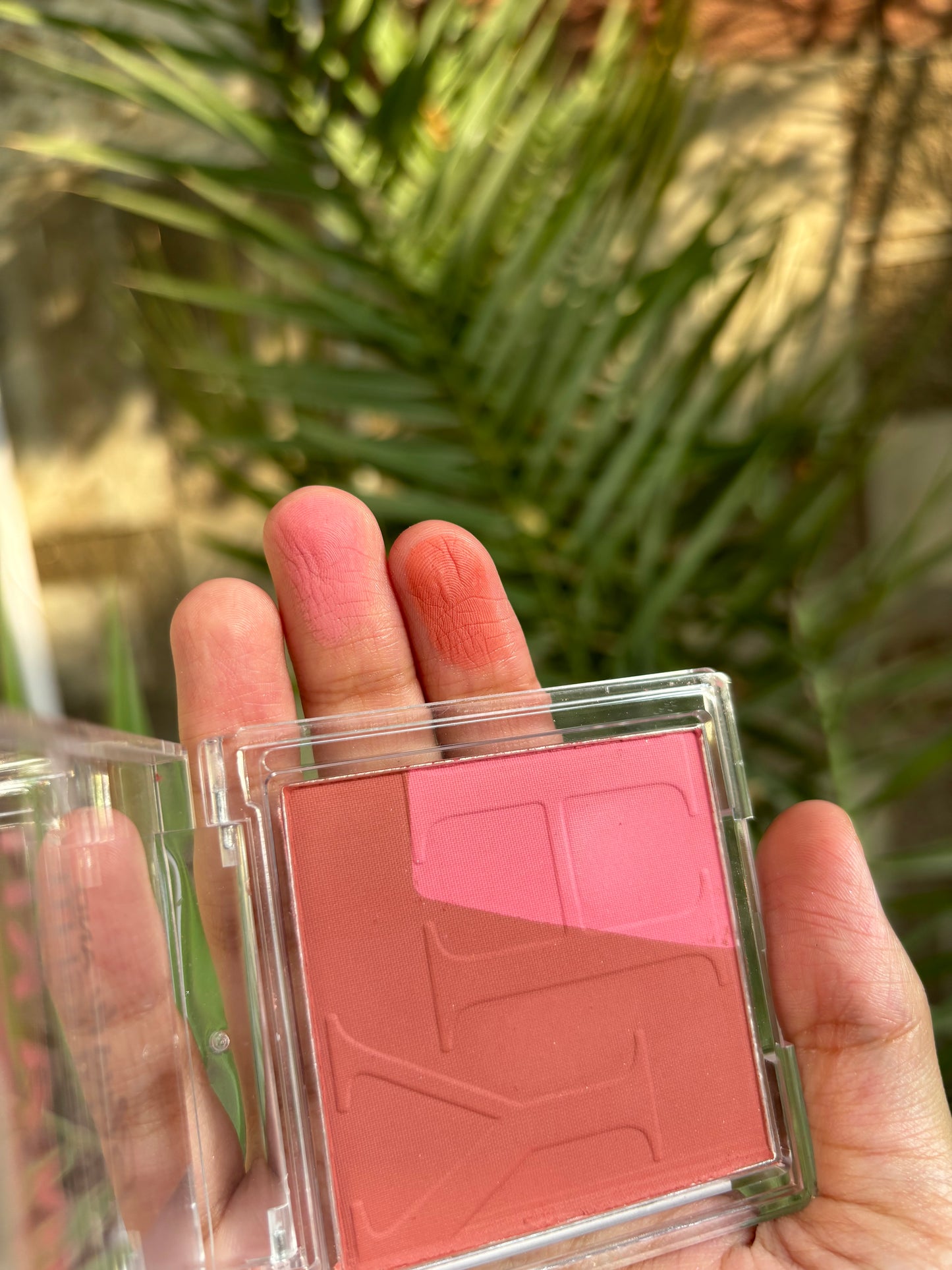Blush Palette