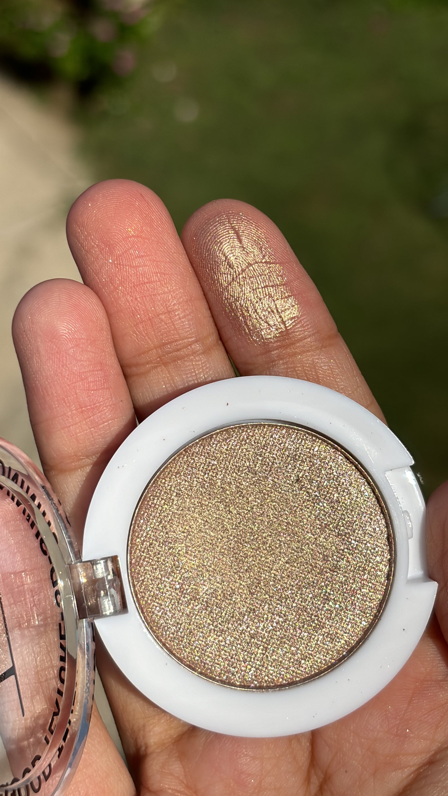 Single Eyeshadow and Highlighter