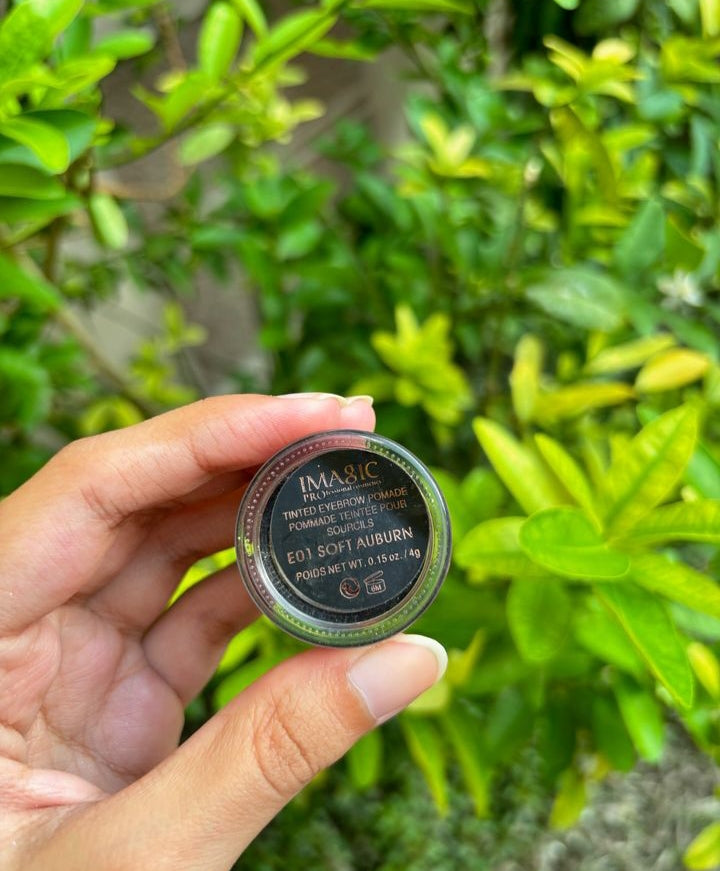 Tinted Eyebrow Pomade