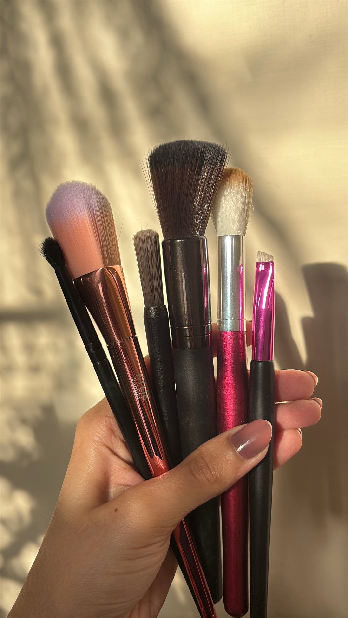 Set of 6 Brushes