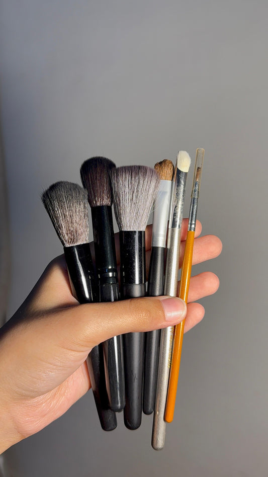 Set of 6 Brushes