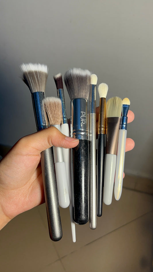 Set of 8 Brushes