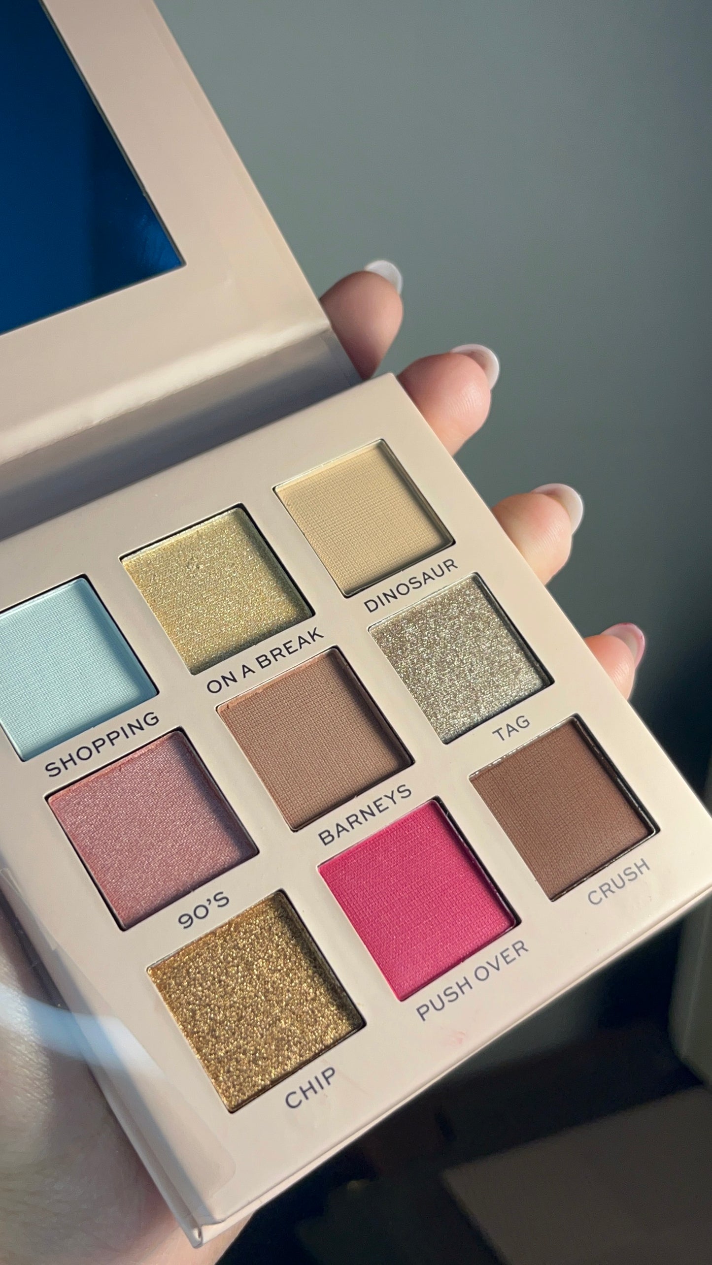 Eyeshadow Palette Friends