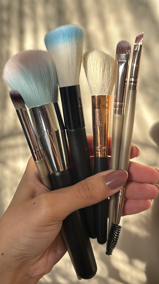 Set of 6 Brushes