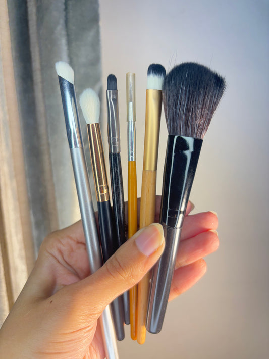 Set of 6 Brushes