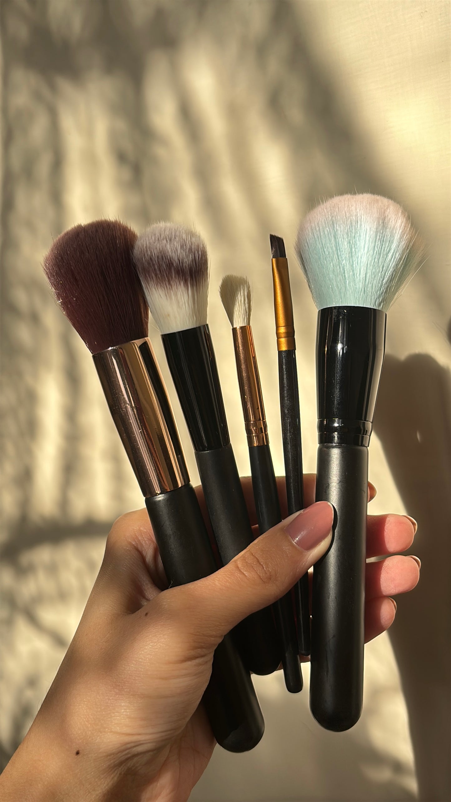Set of 5 Brushes
