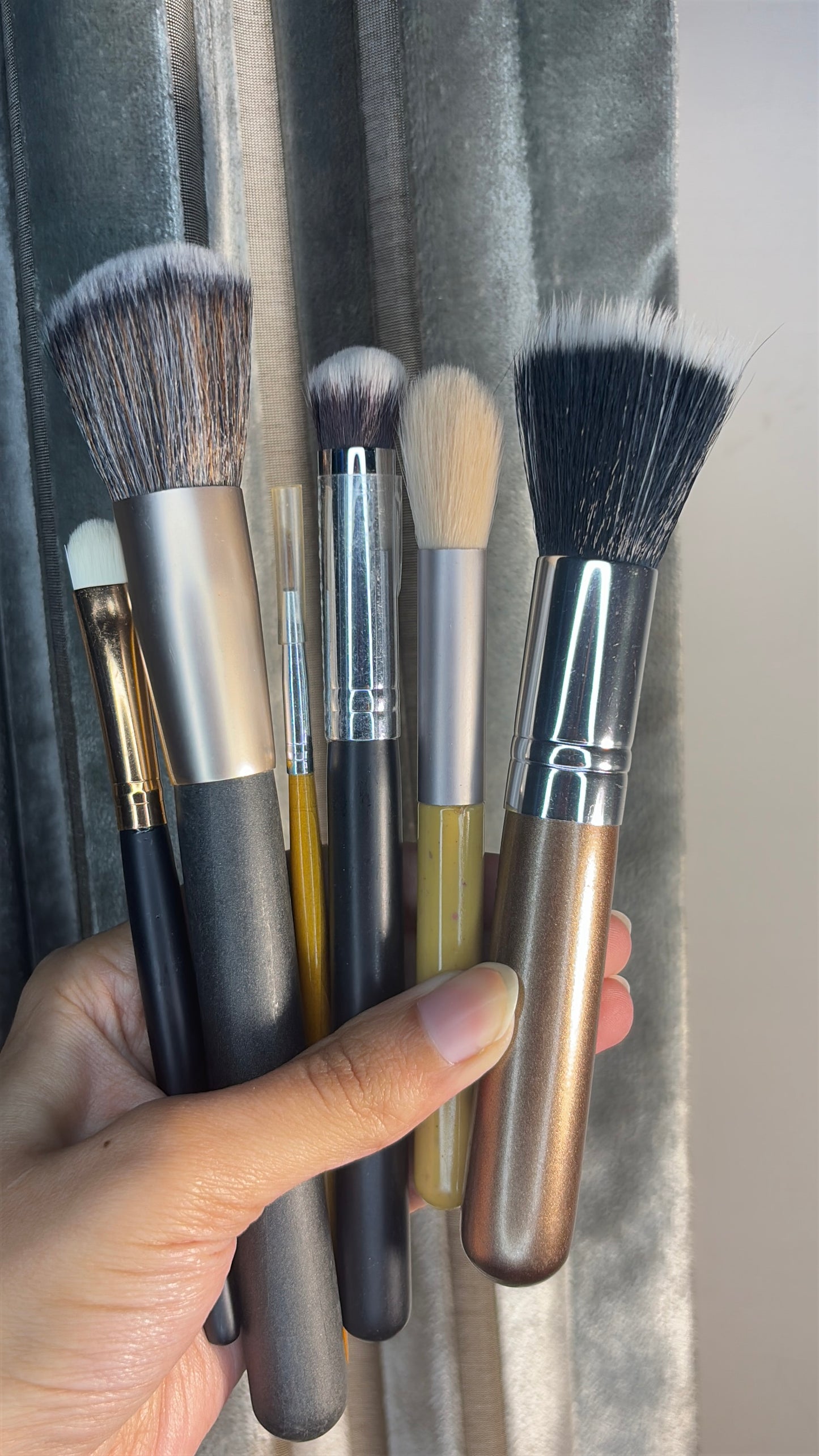 Set of 6 Brushes