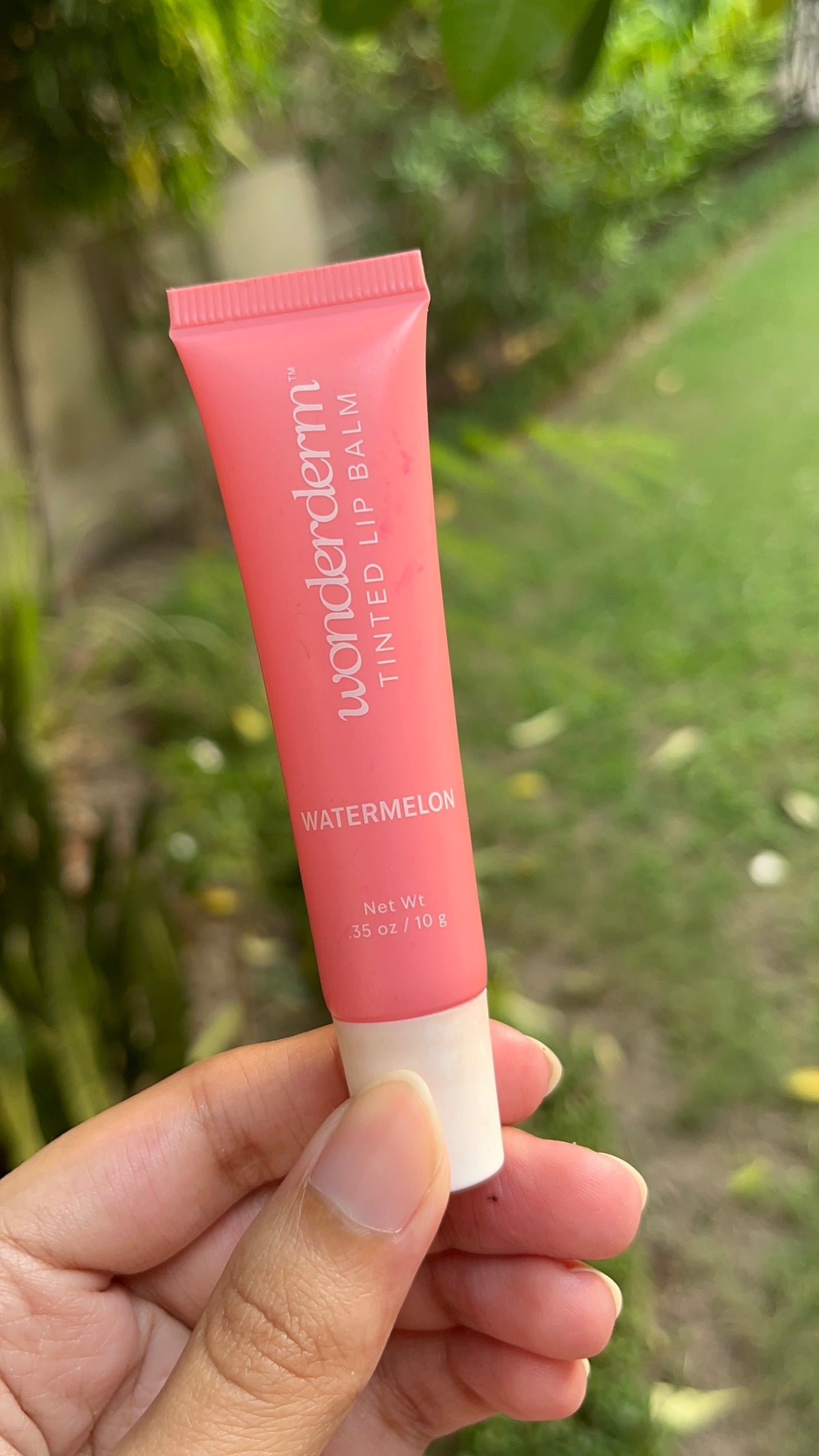 Tinted LipBalm
