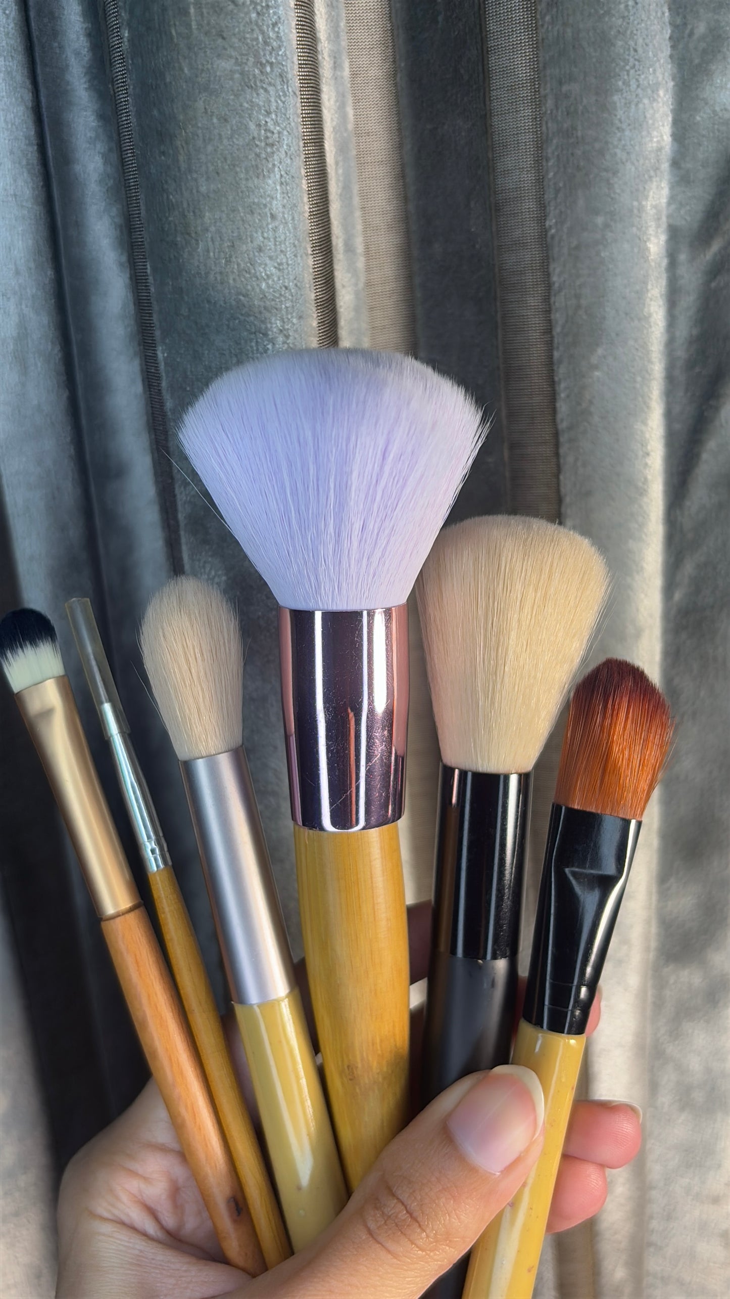 Set of 6 Brushes