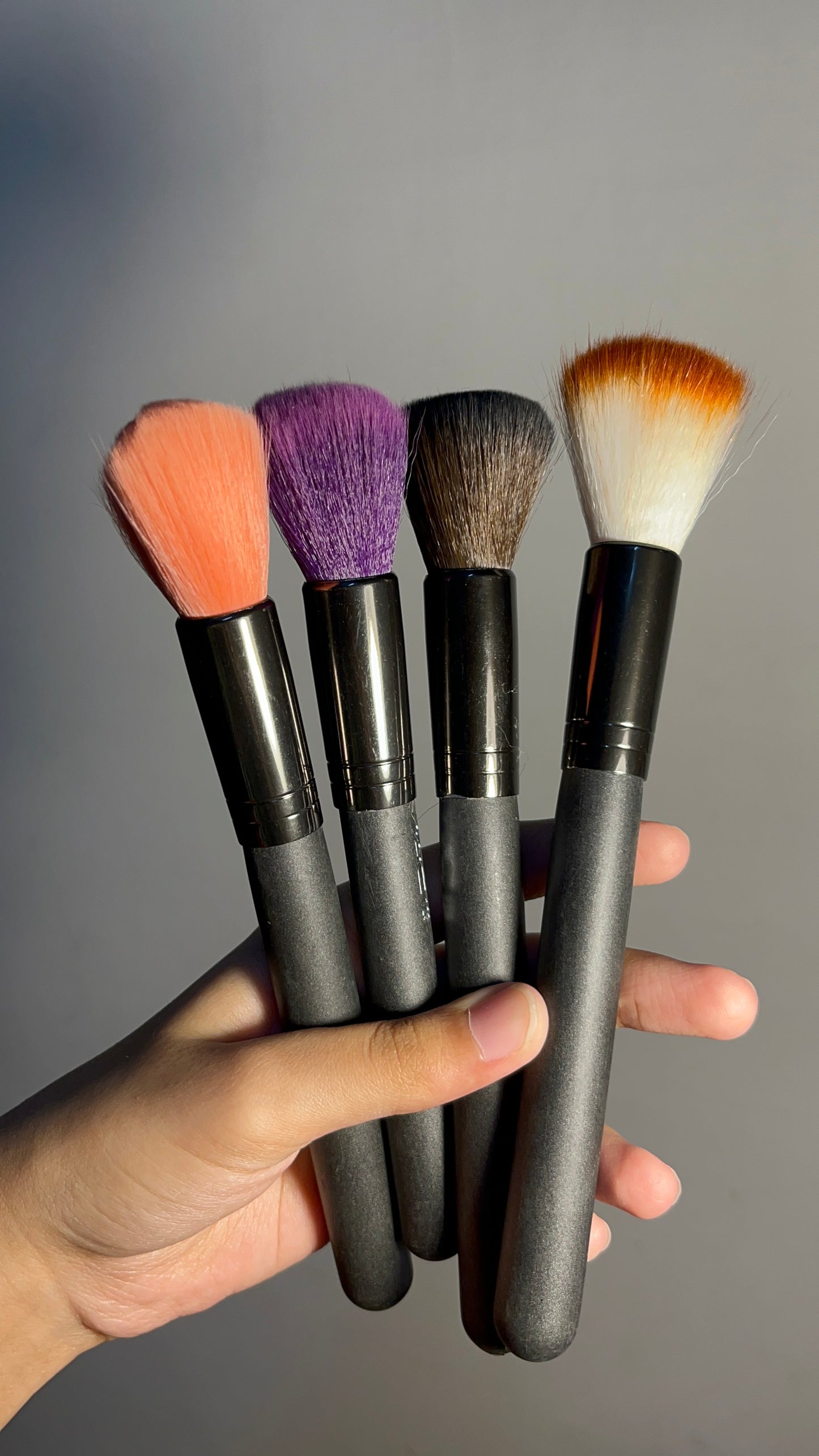 Set of 4 Brushes