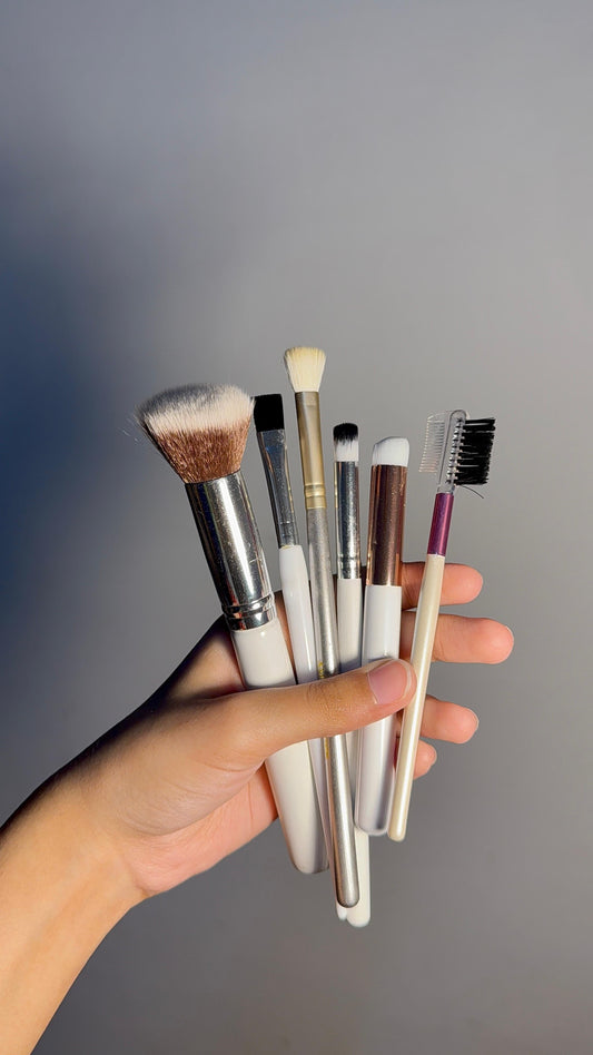 Set of 6 Brushes