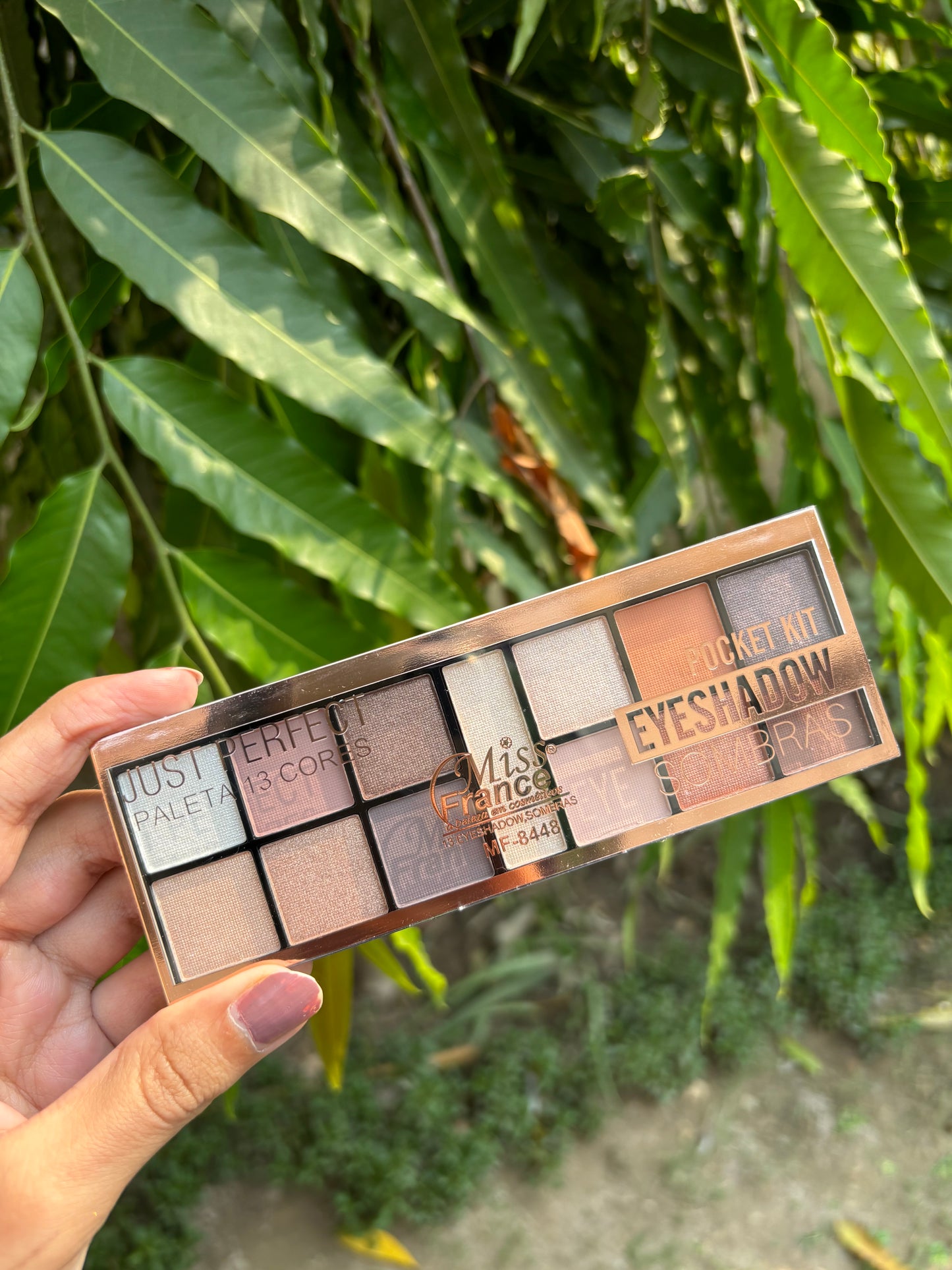 Eyeshadow Palette