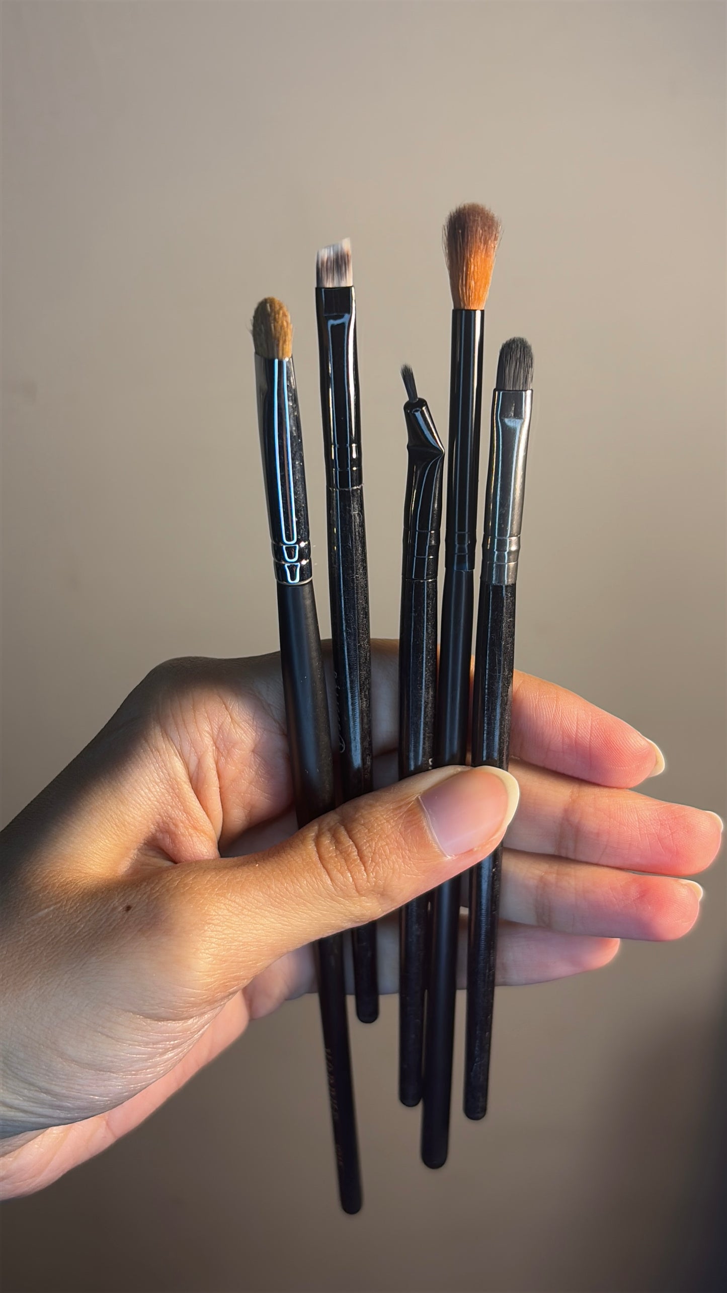 Set of 8 Brushes