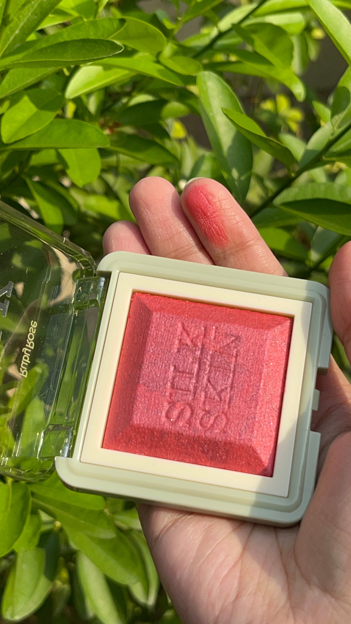 RUBYY ROSE SHIMMER Blush