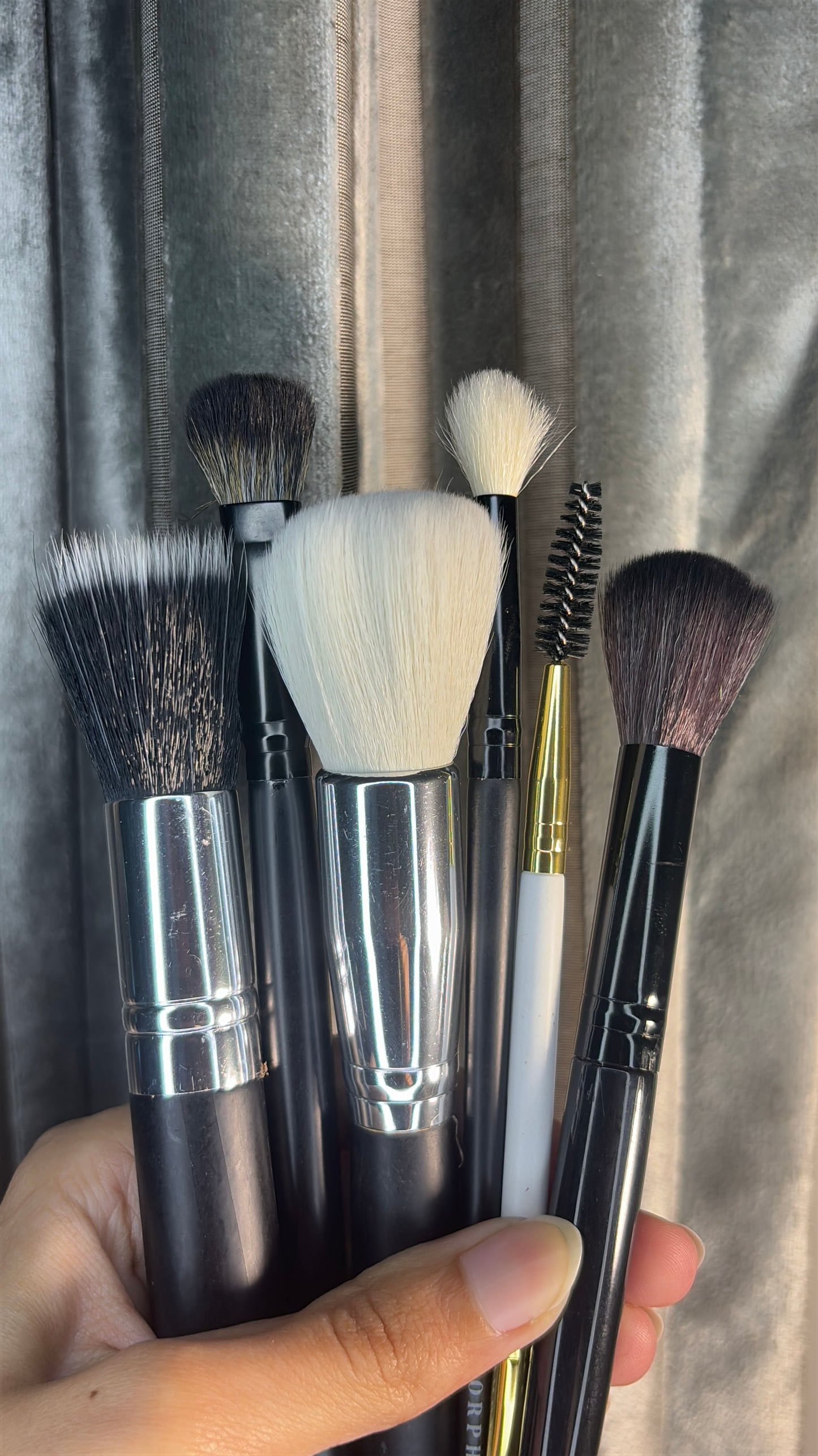 Set of 6 Brushes
