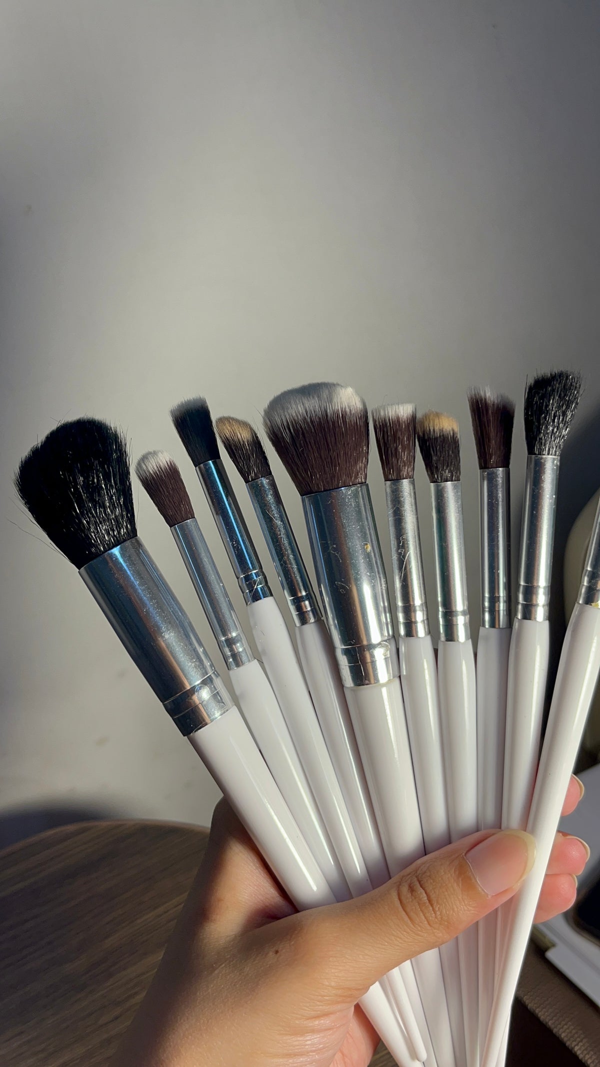 Set of 10 Brushes