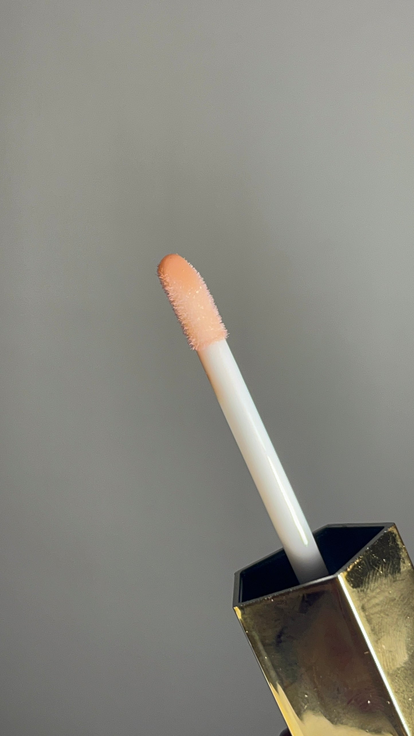 Set of 4 tinted Lip Oil Set