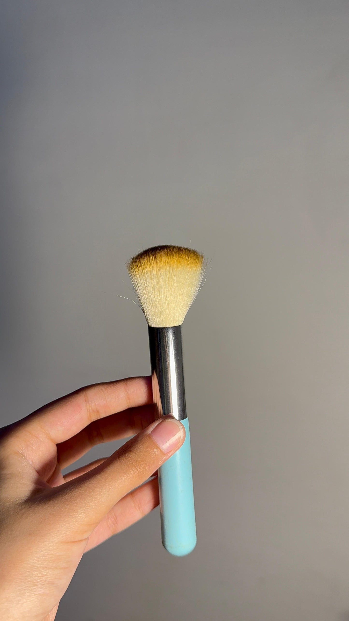Single Brushes