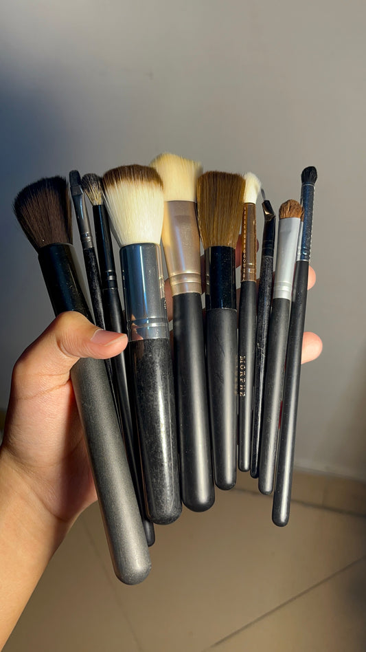 Set of 10 Brushes