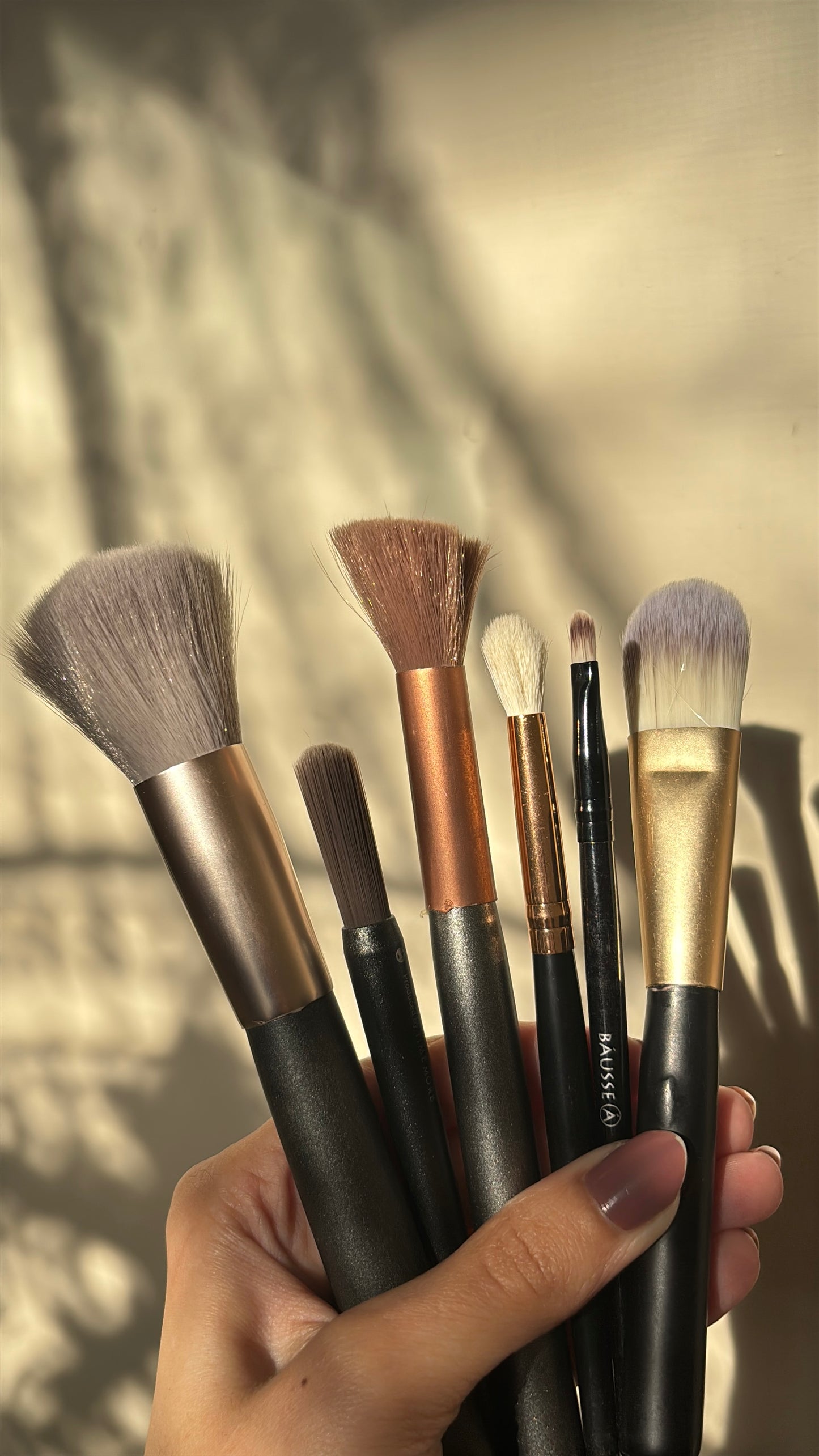 Set of 6 Brushes