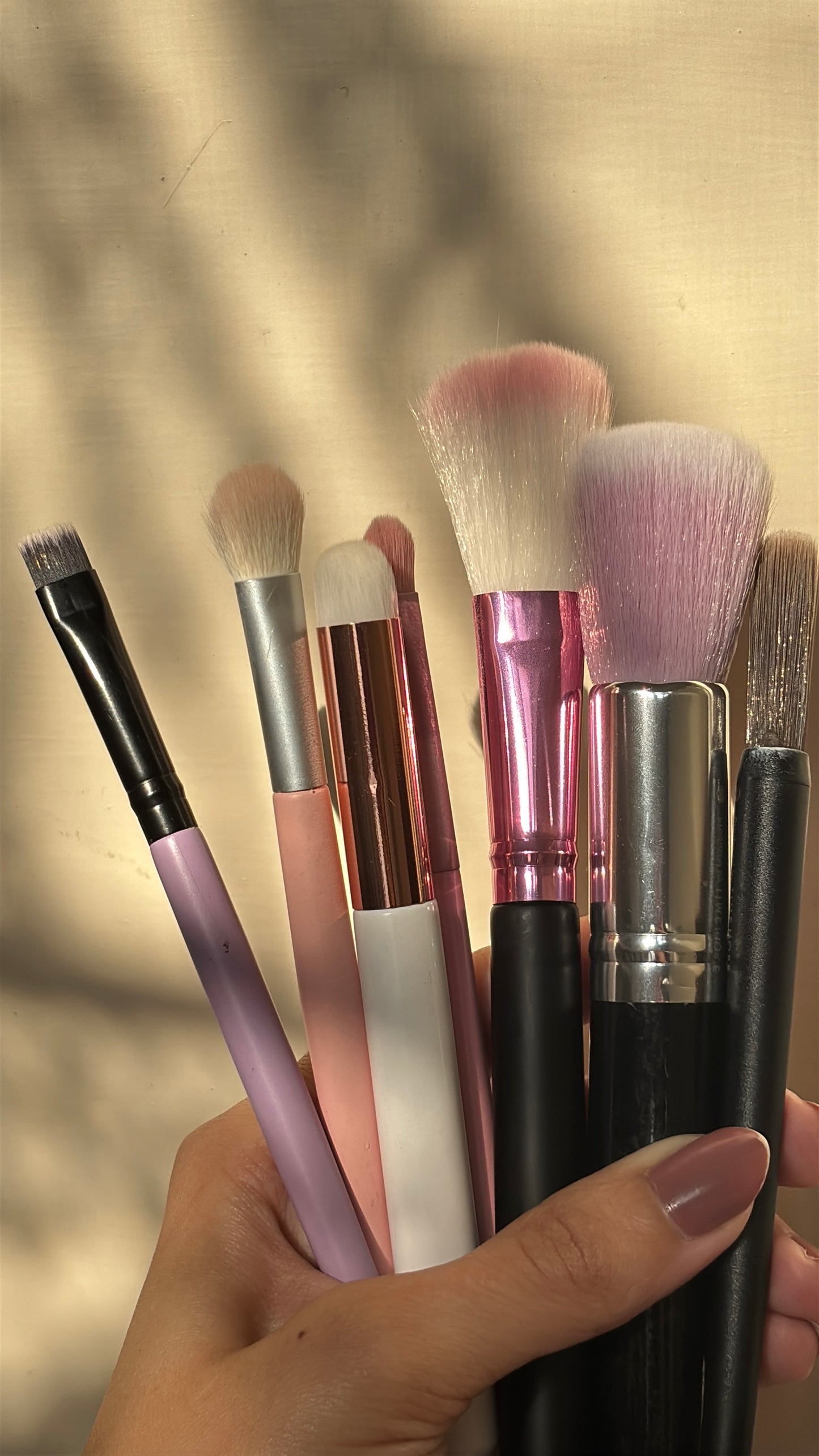Set of 7 Brushes