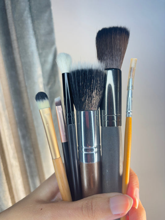 Set of 6 Brushes