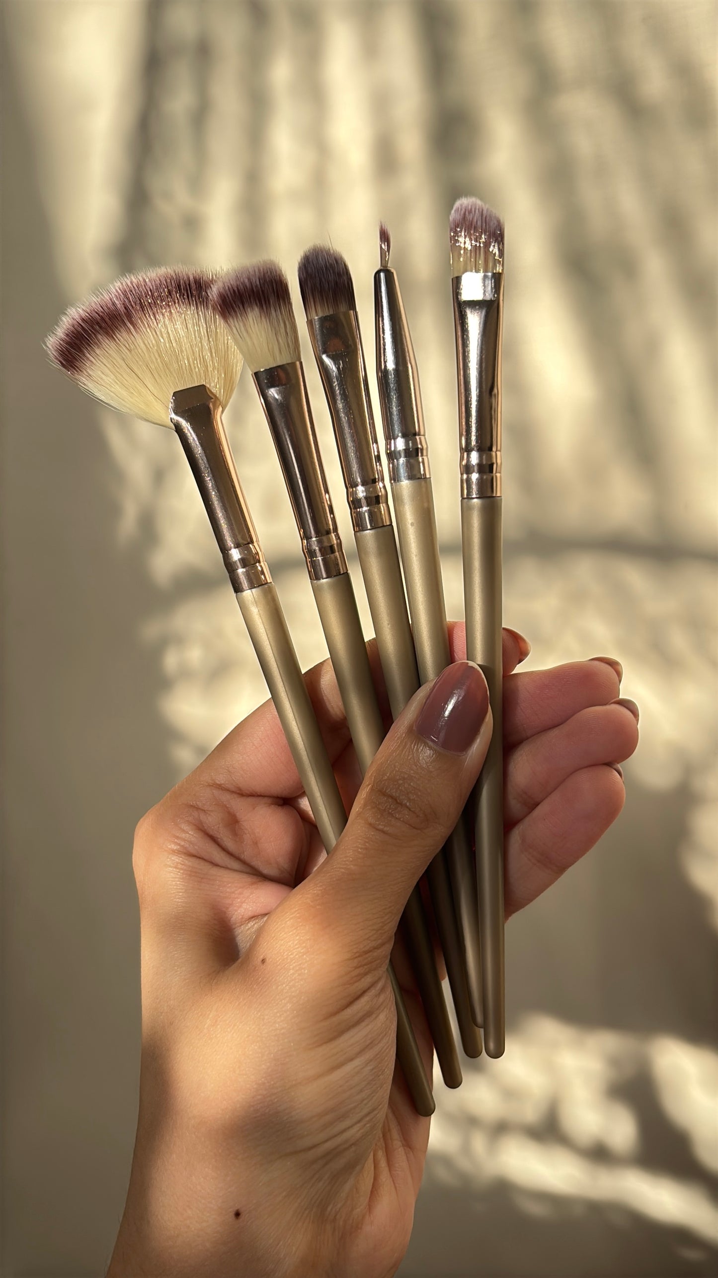 Set of 5 Brushes