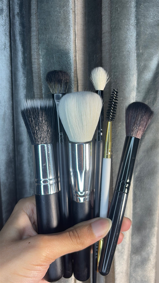 Set of 6 Brushes