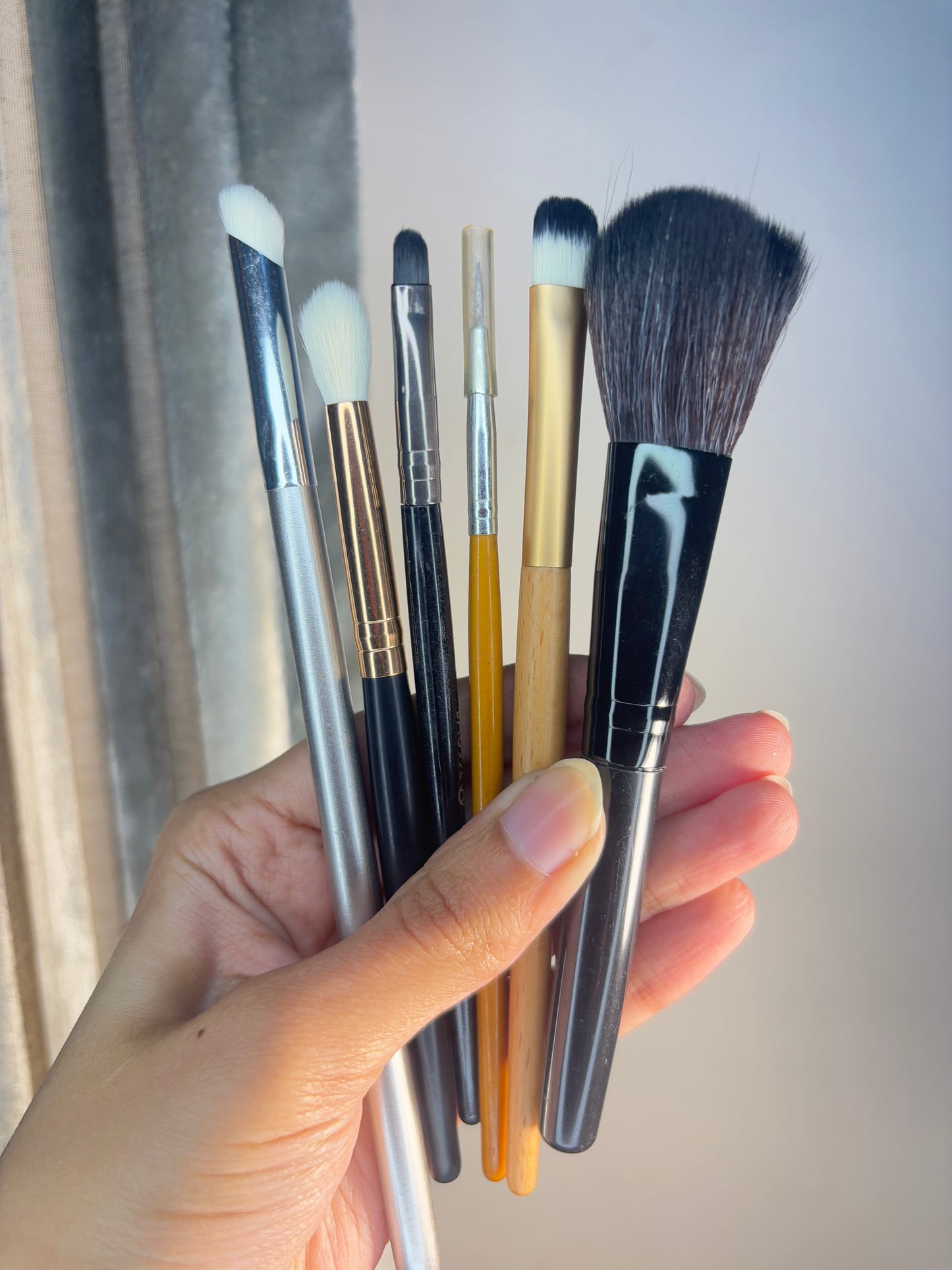 Set of 6 Brushes
