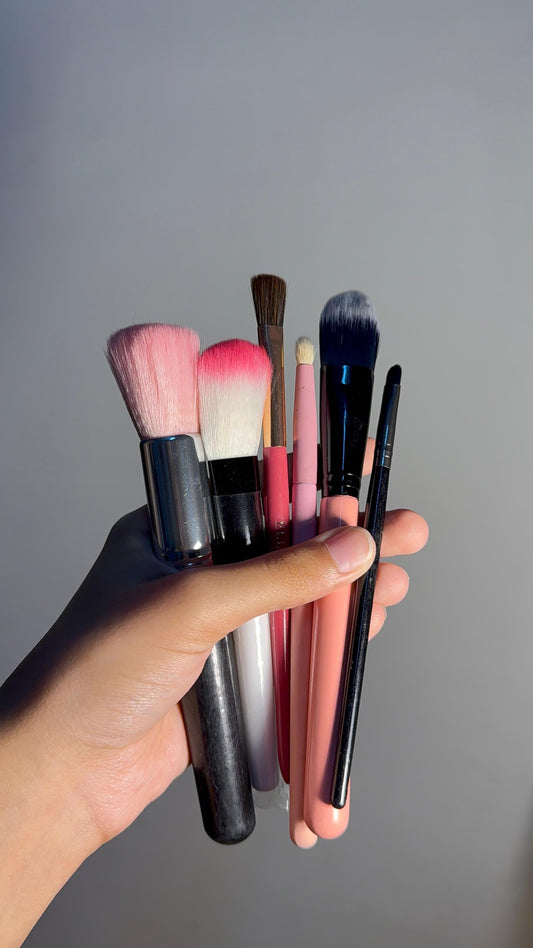 Set of 6 Brushes