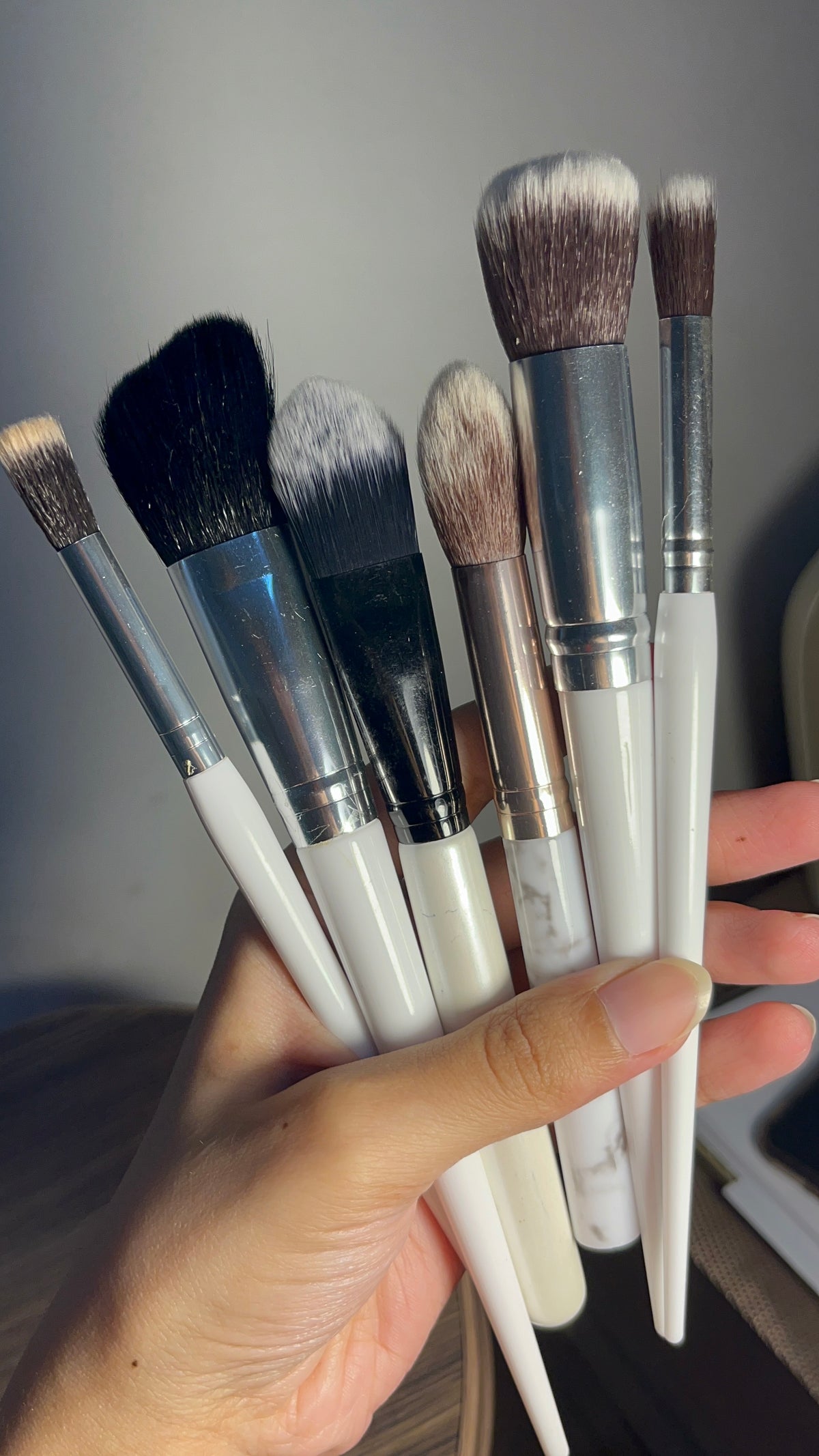 Set of 6 Brushes