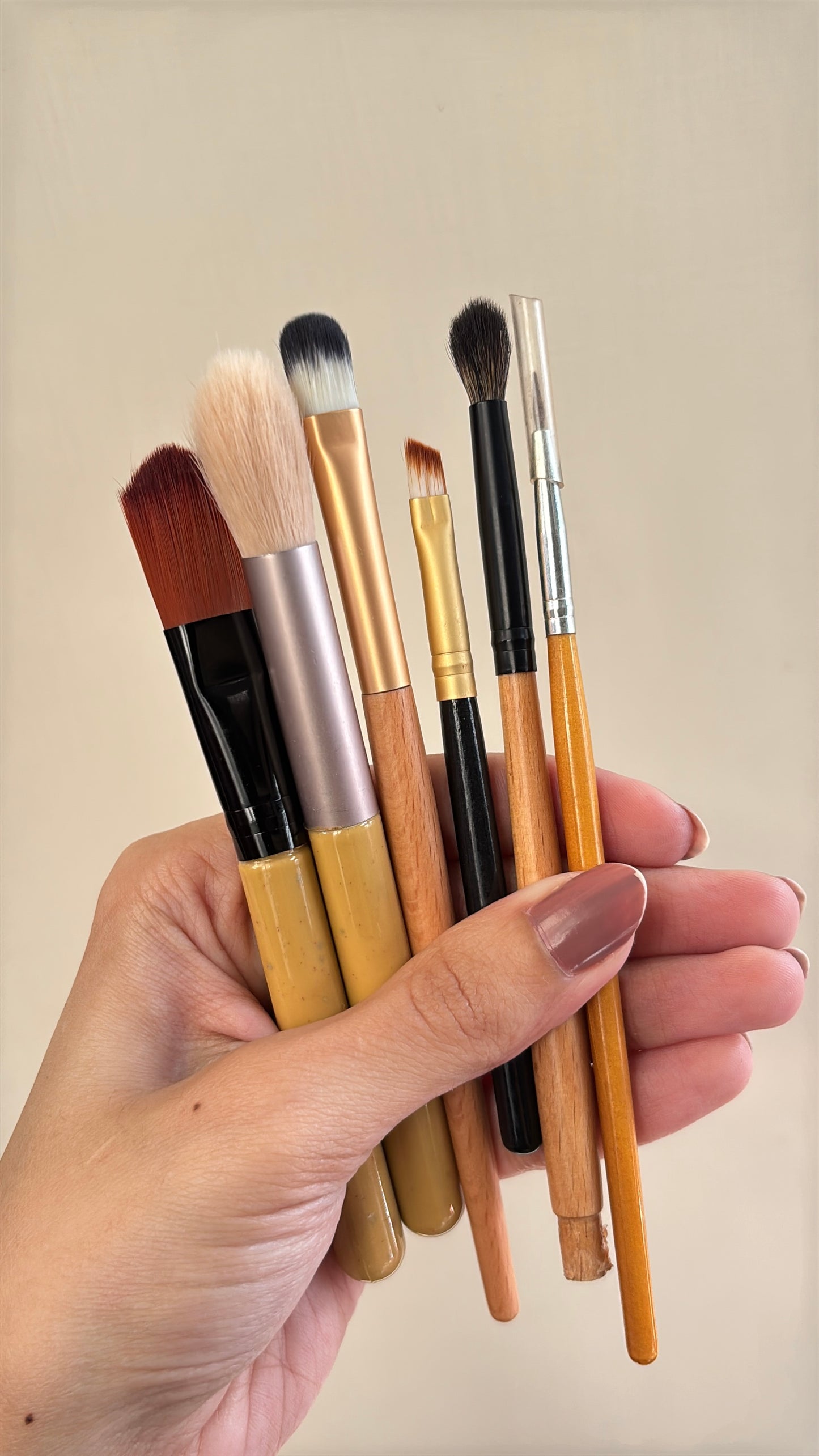 Set of 6 Brushes