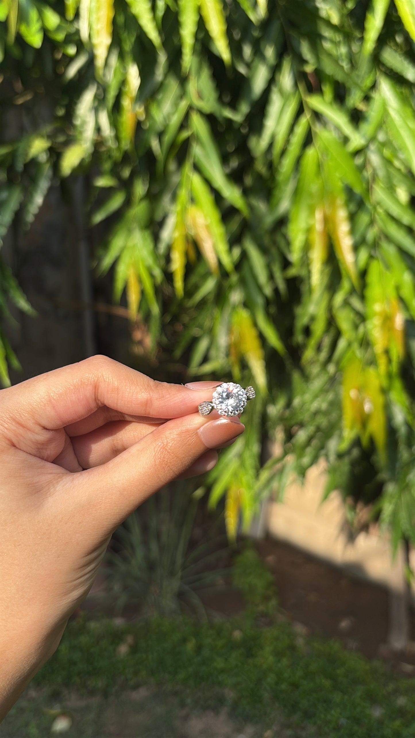 Circle Cut Ring